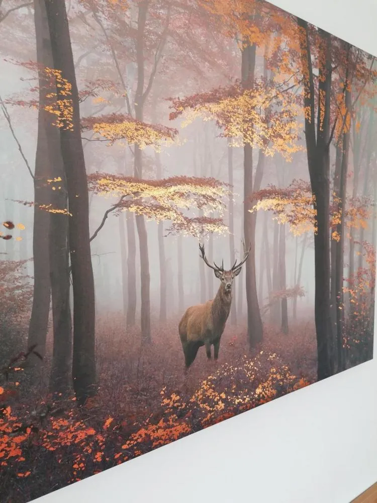 Animals in The Waverley Hotel