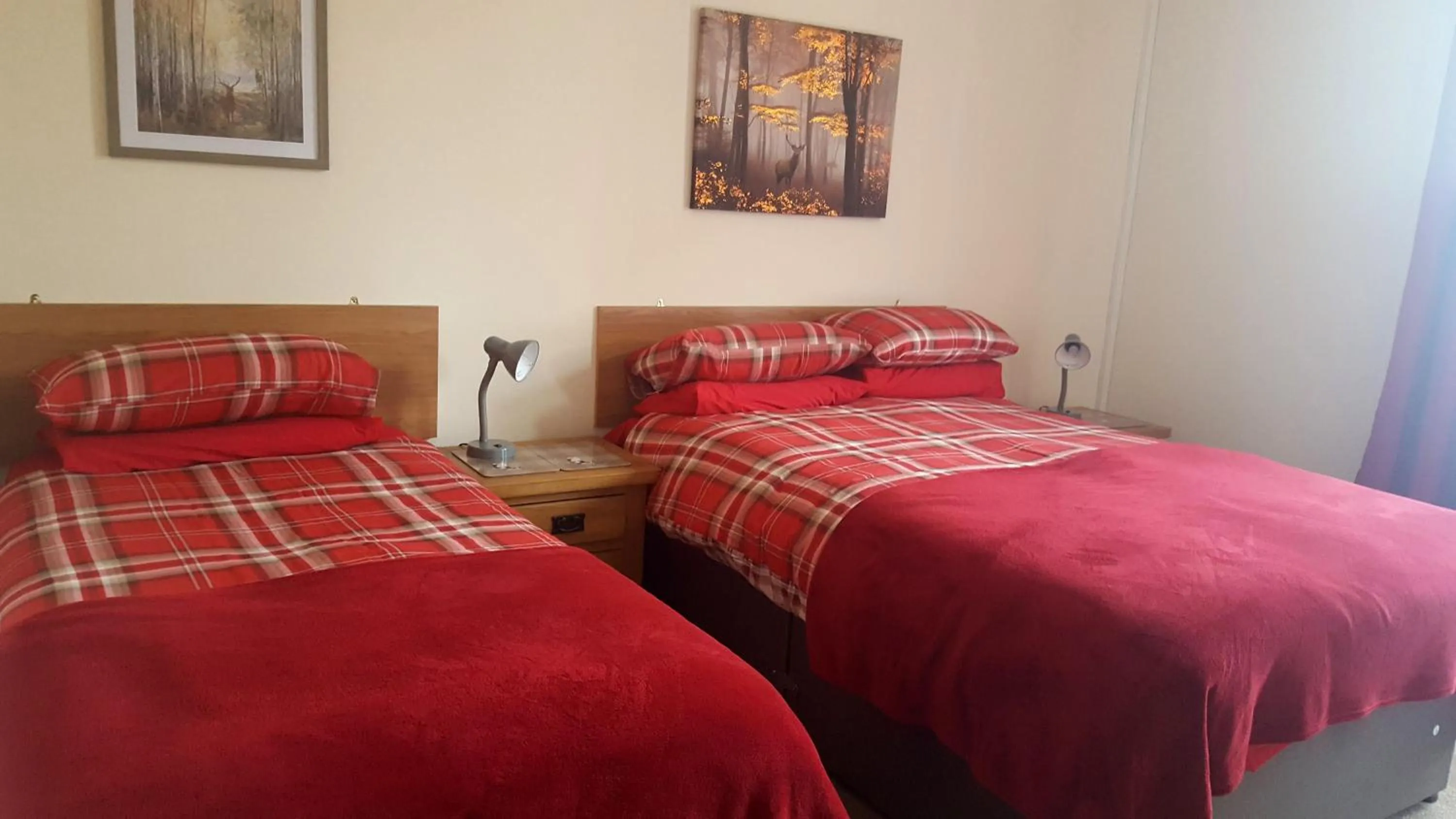 Triple Room with Shower - single occupancy in The Waverley Hotel