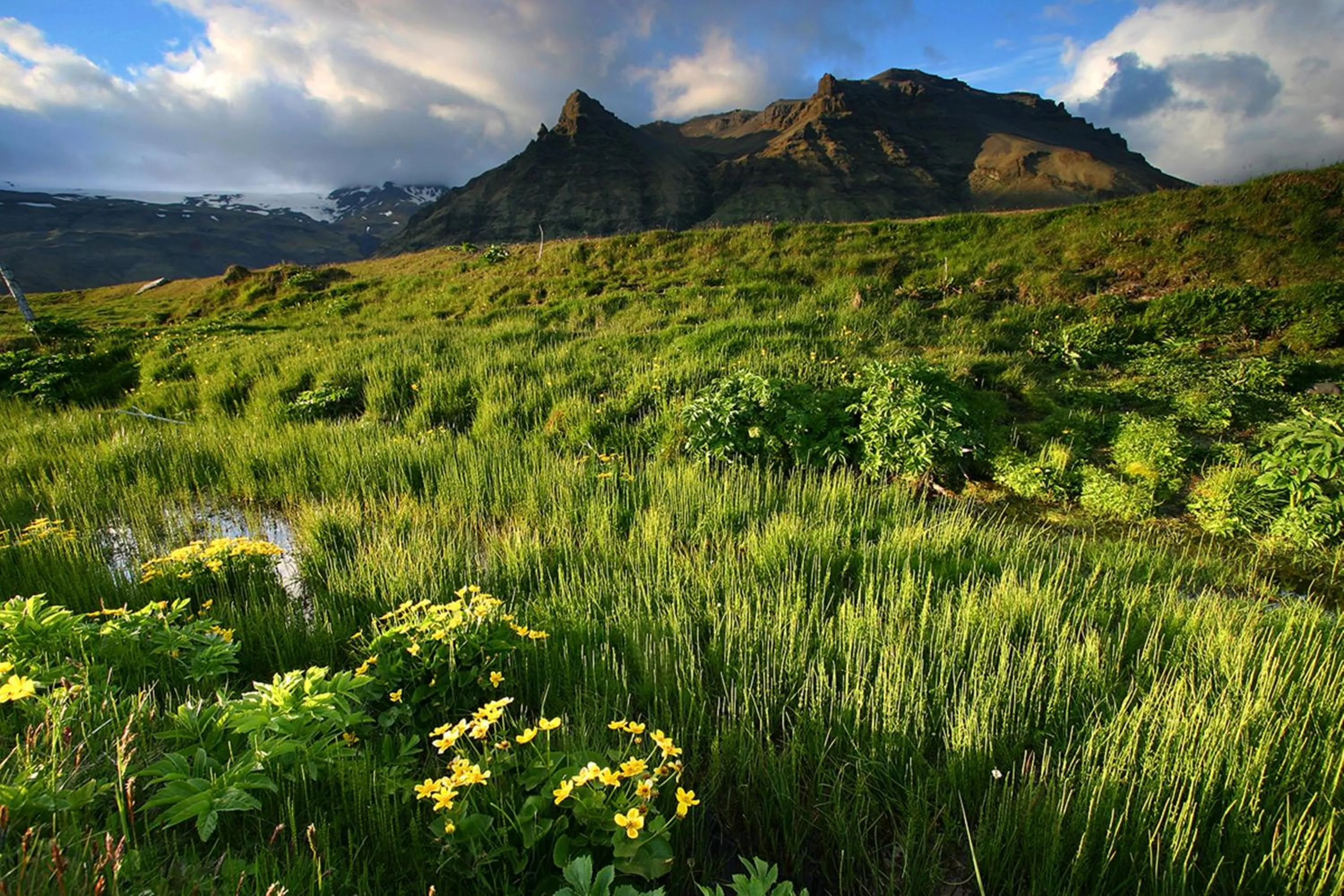 Area and facilities in Welcome Edinborg