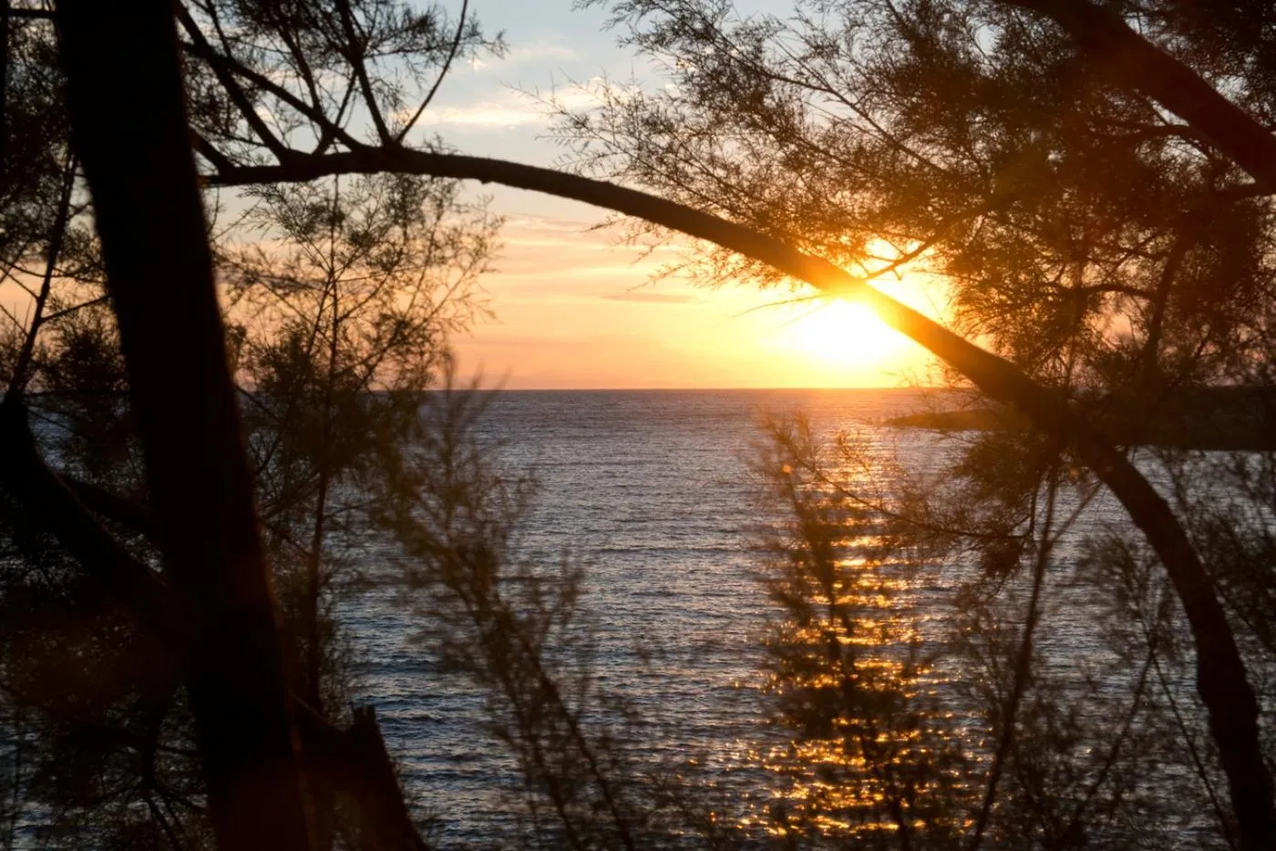 Natural landscape in Mon Rêve Resort