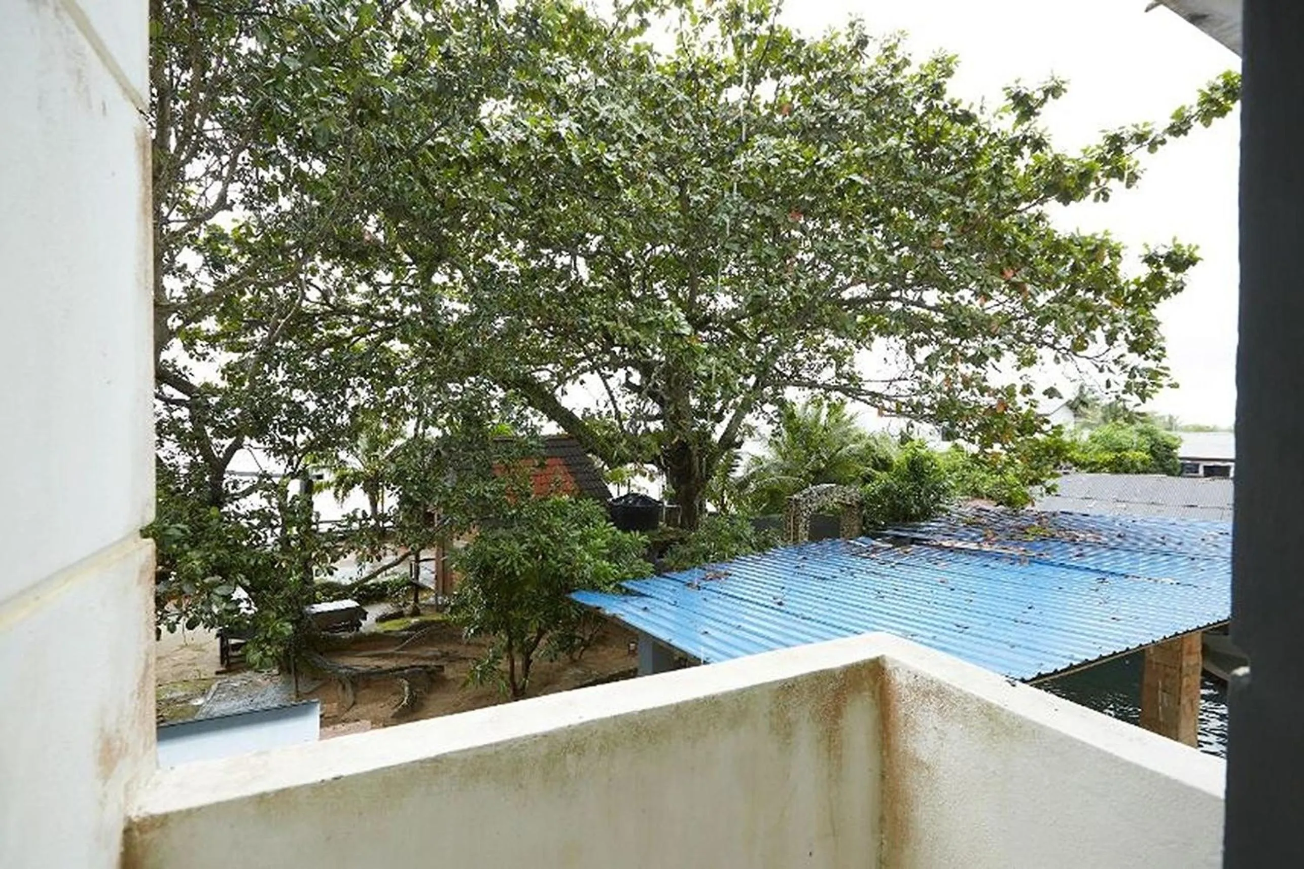 Garden in Mawar Villa, Batu Hitam