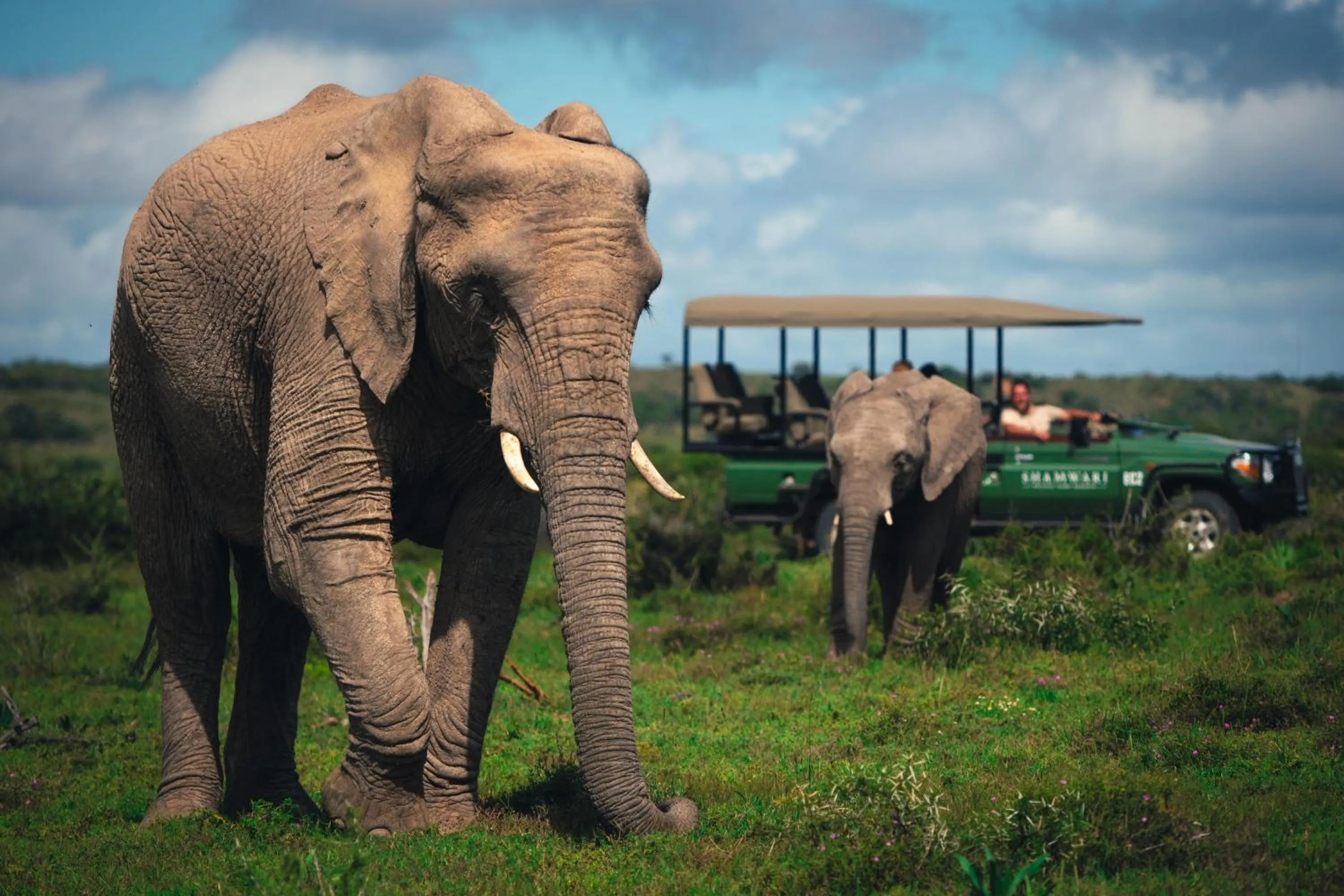 Activities in Shamwari Bayethe