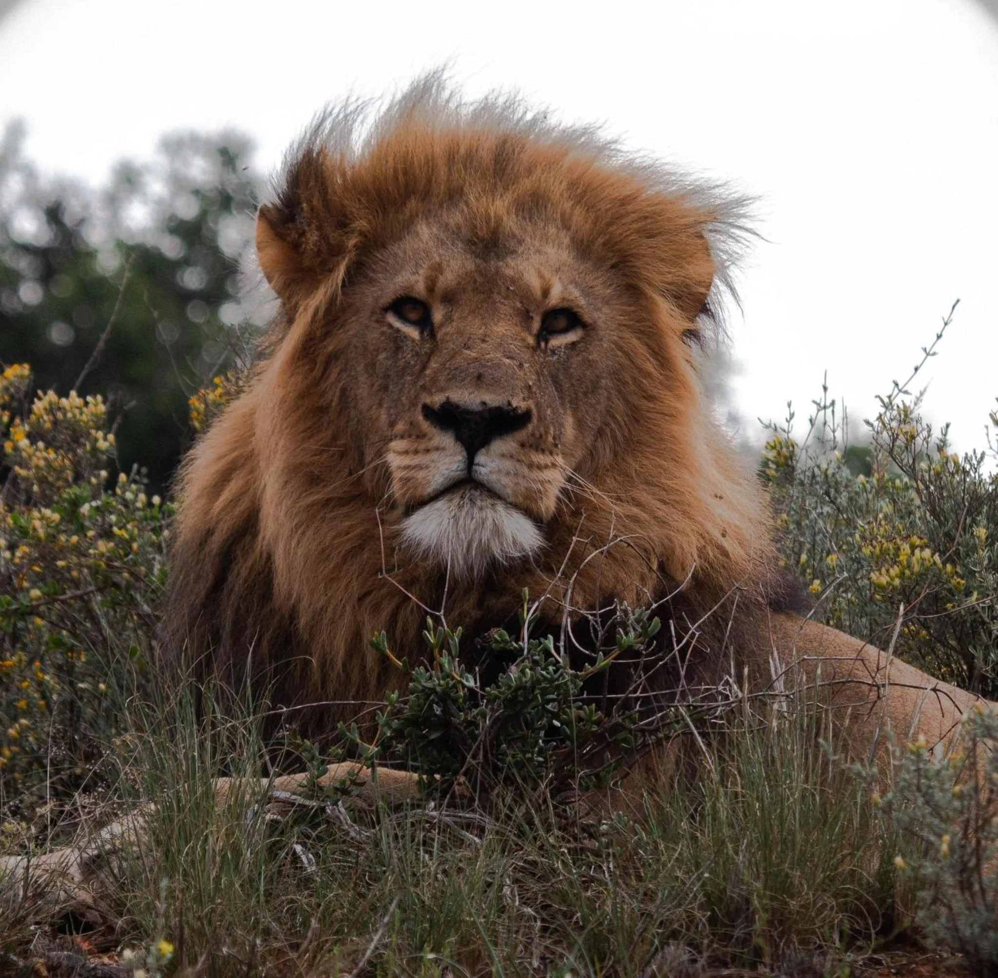 Activities in Shamwari Bayethe