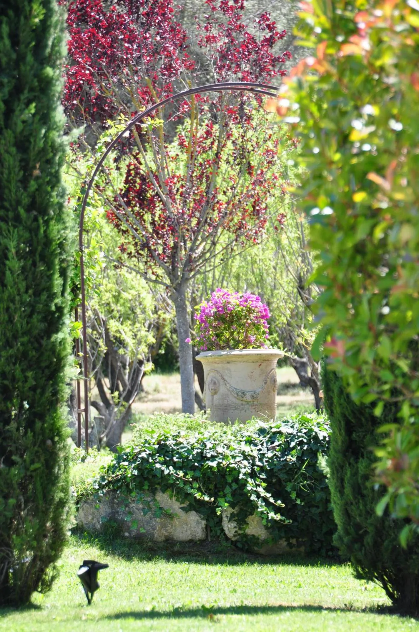 Natural landscape in Le Jardin des Amandiers