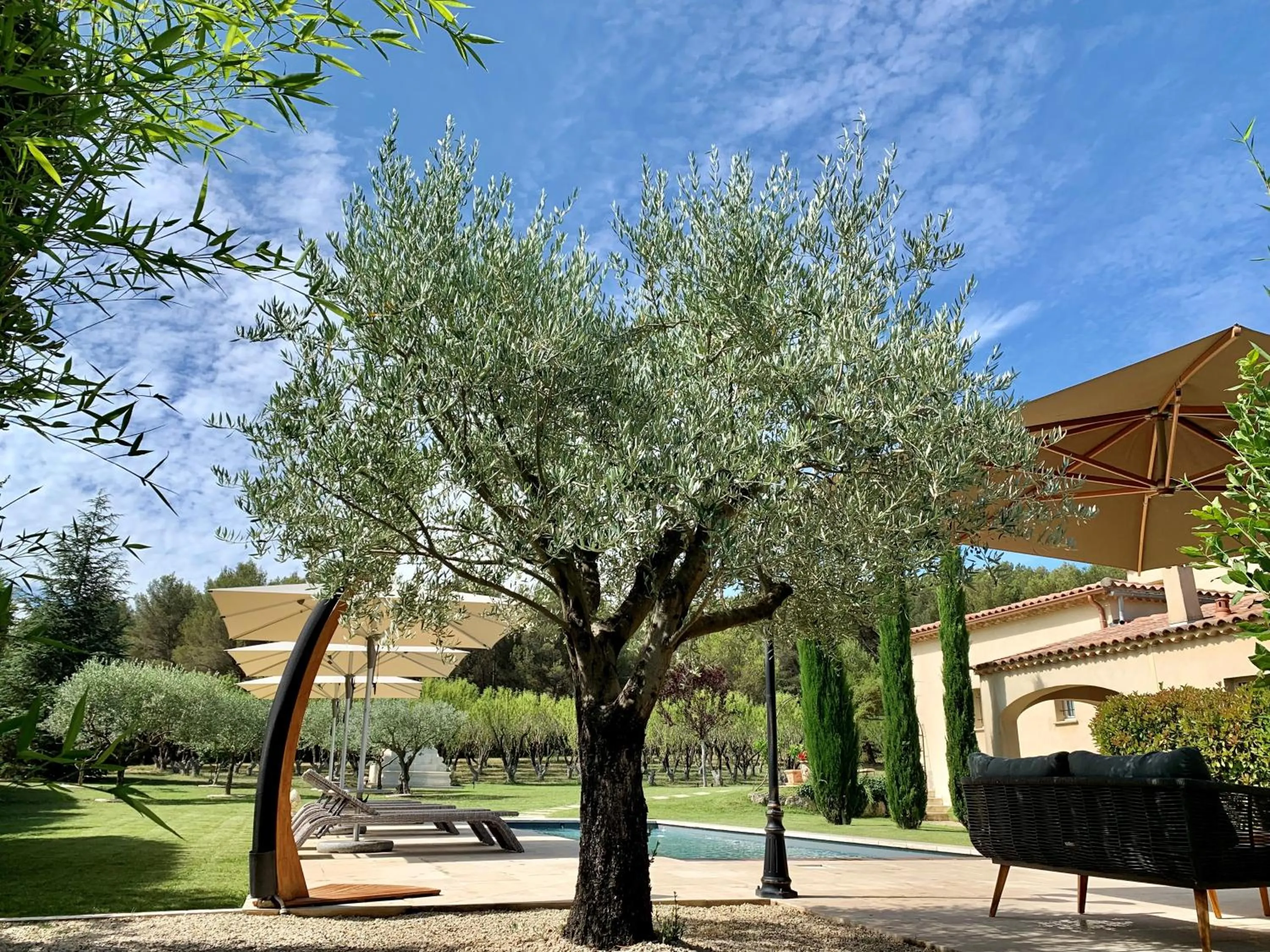 Garden view in Le Jardin des Amandiers