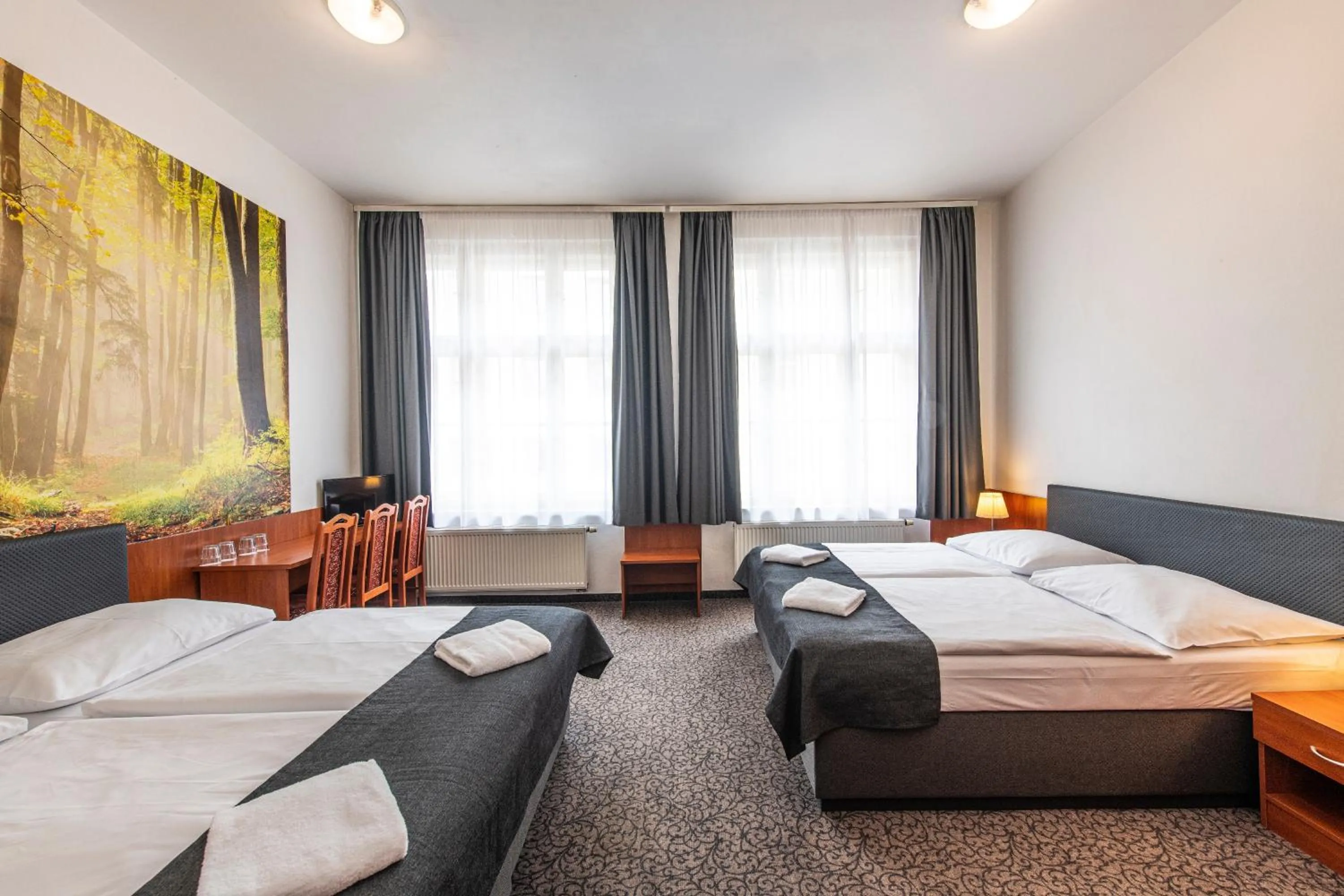 Property building, Bed in Hotel Zlatá Váha