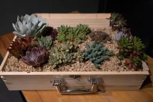 Atour Light Hotel Tangshan Exhibition Center