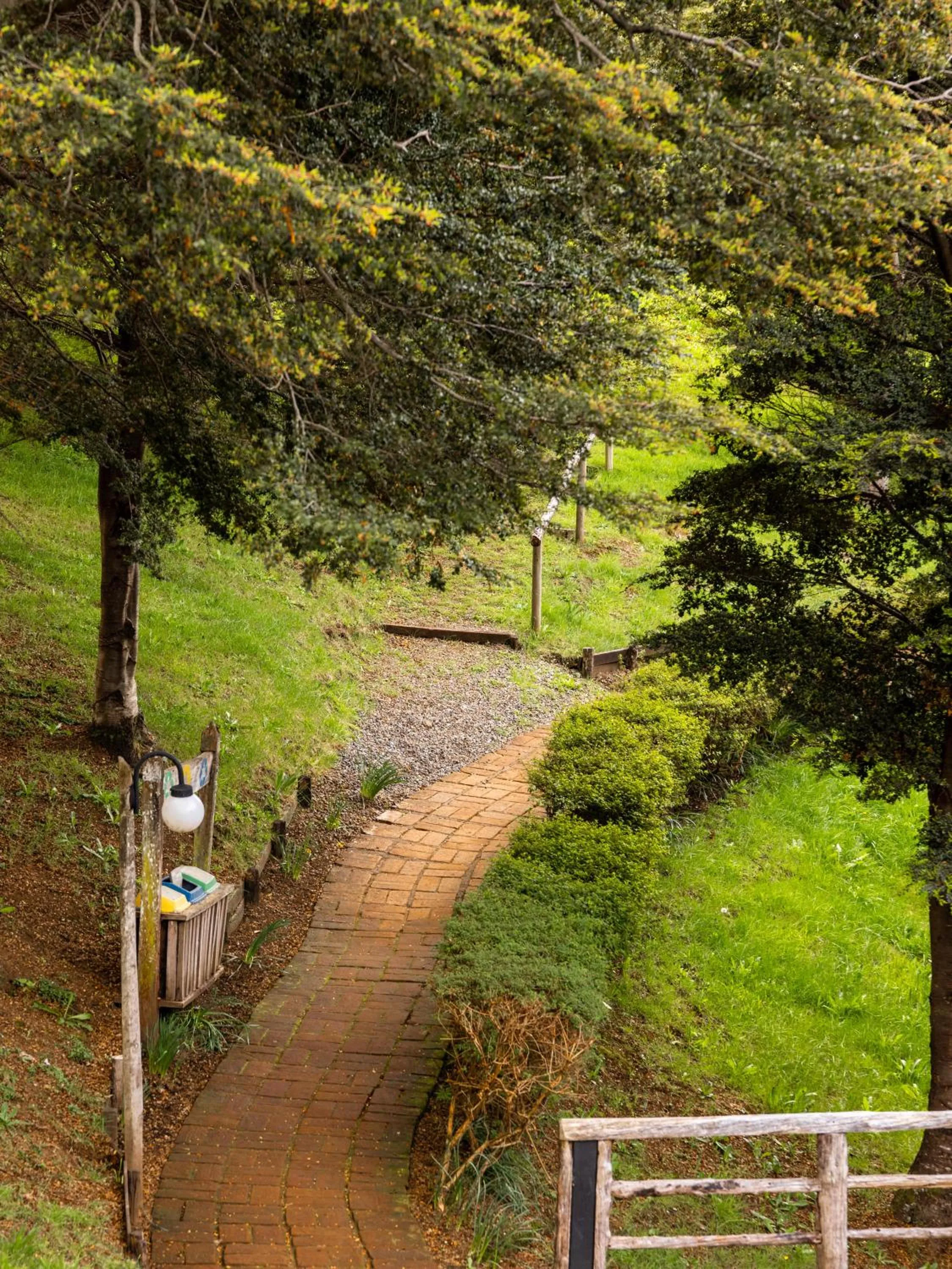 Natural landscape in Hotel Parque Quilquico