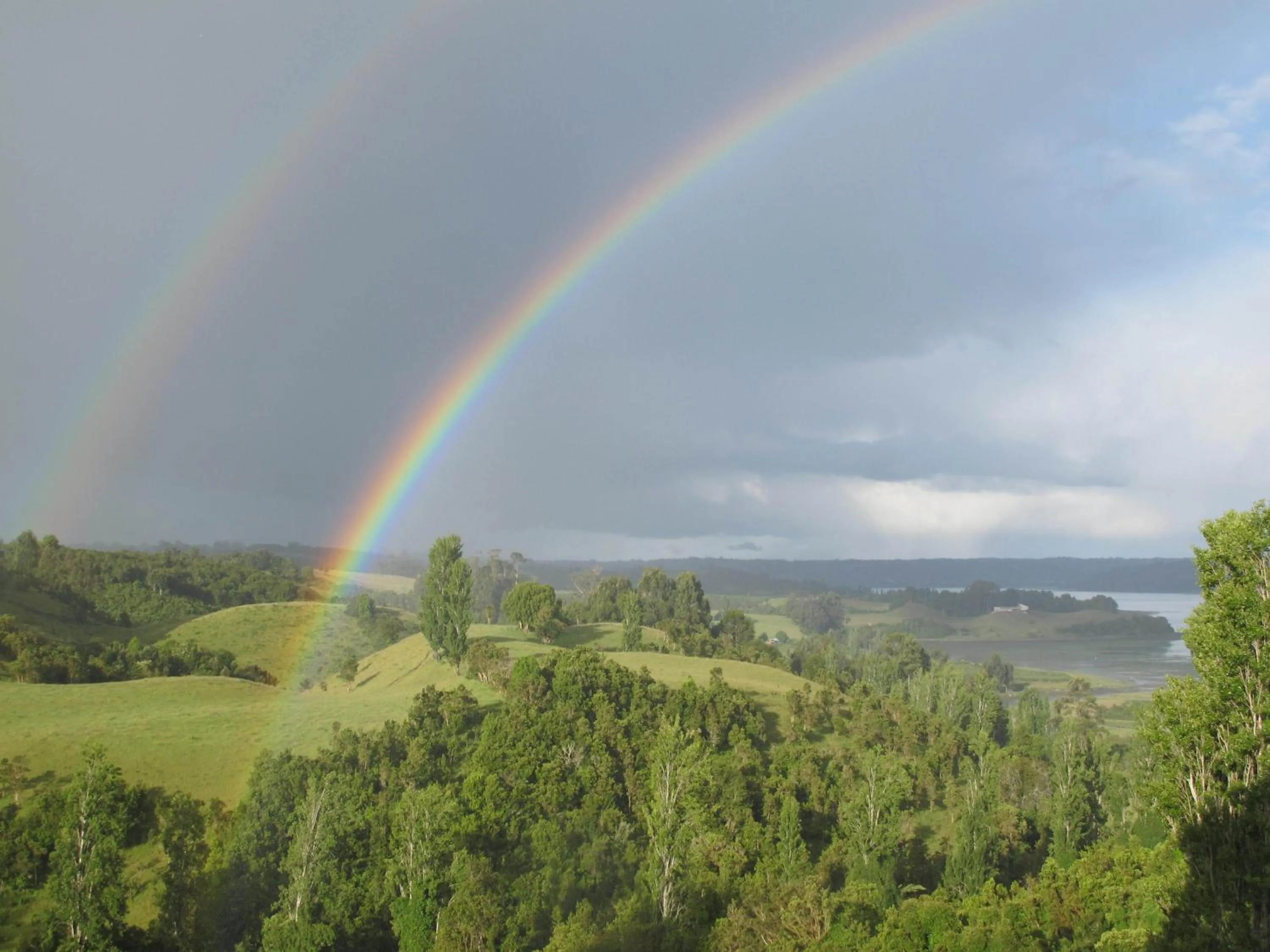 View (from property/room) in Hotel Parque Quilquico