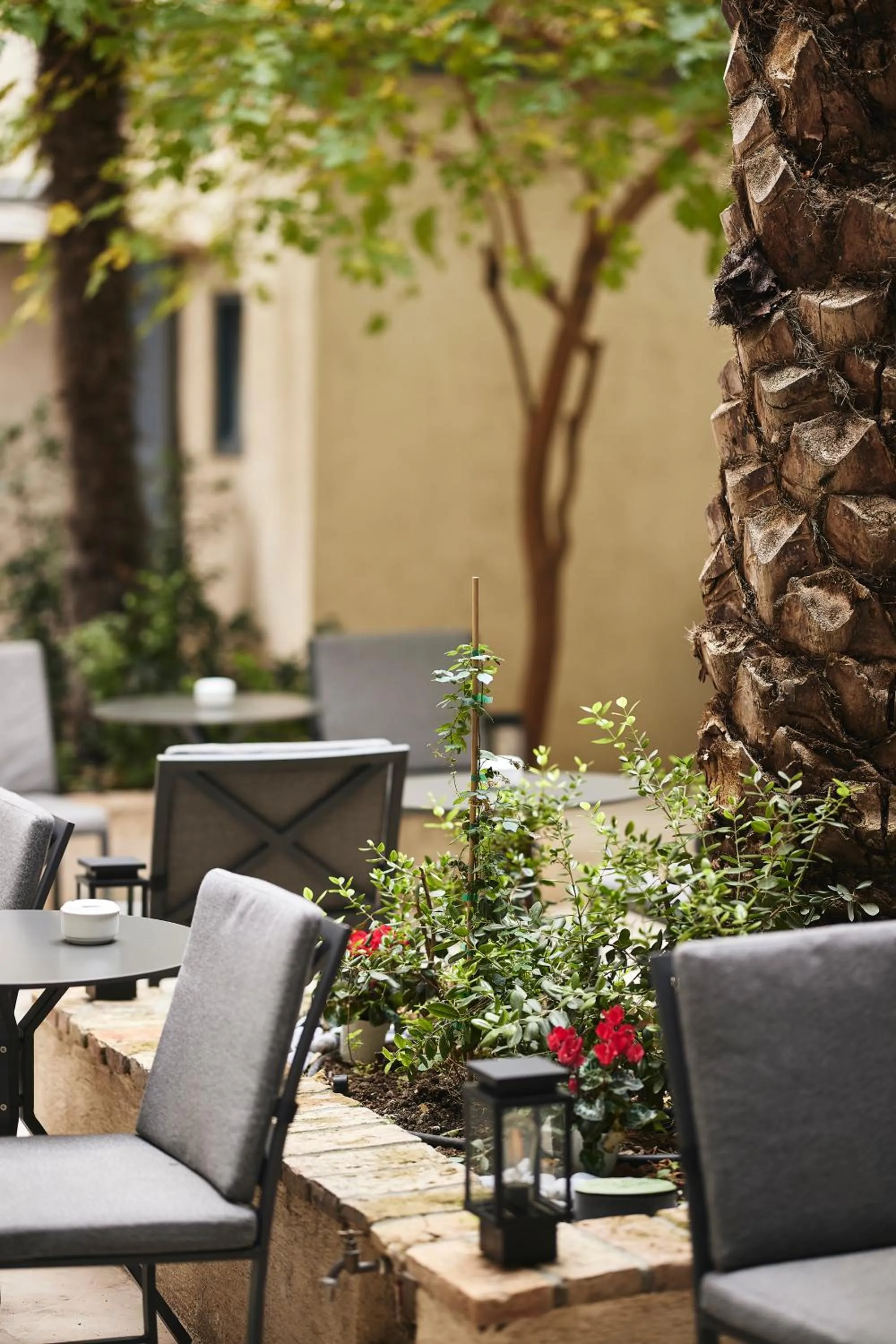 Garden in Bohemian Suites Athens