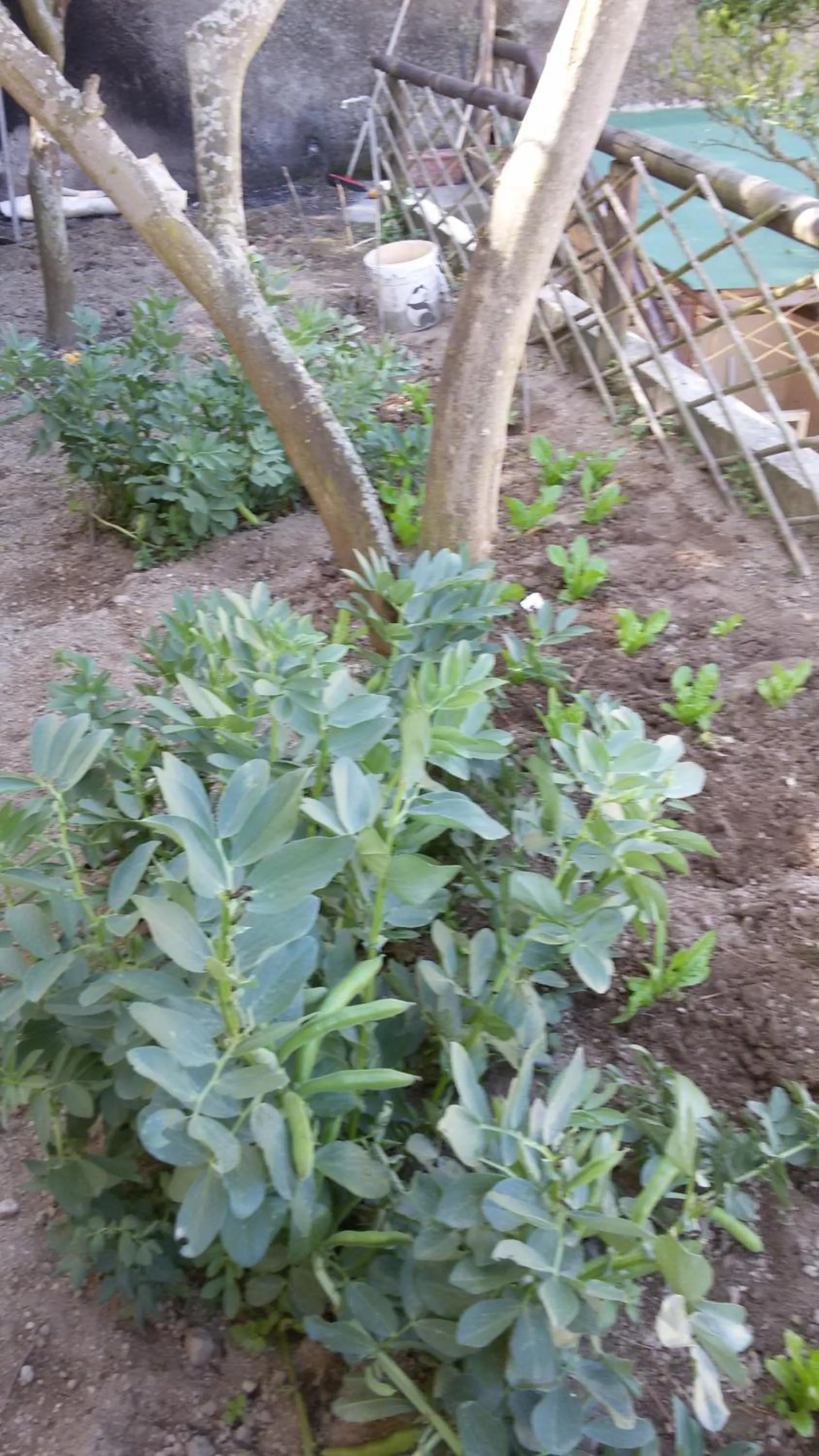 Day in Sweetposeidon