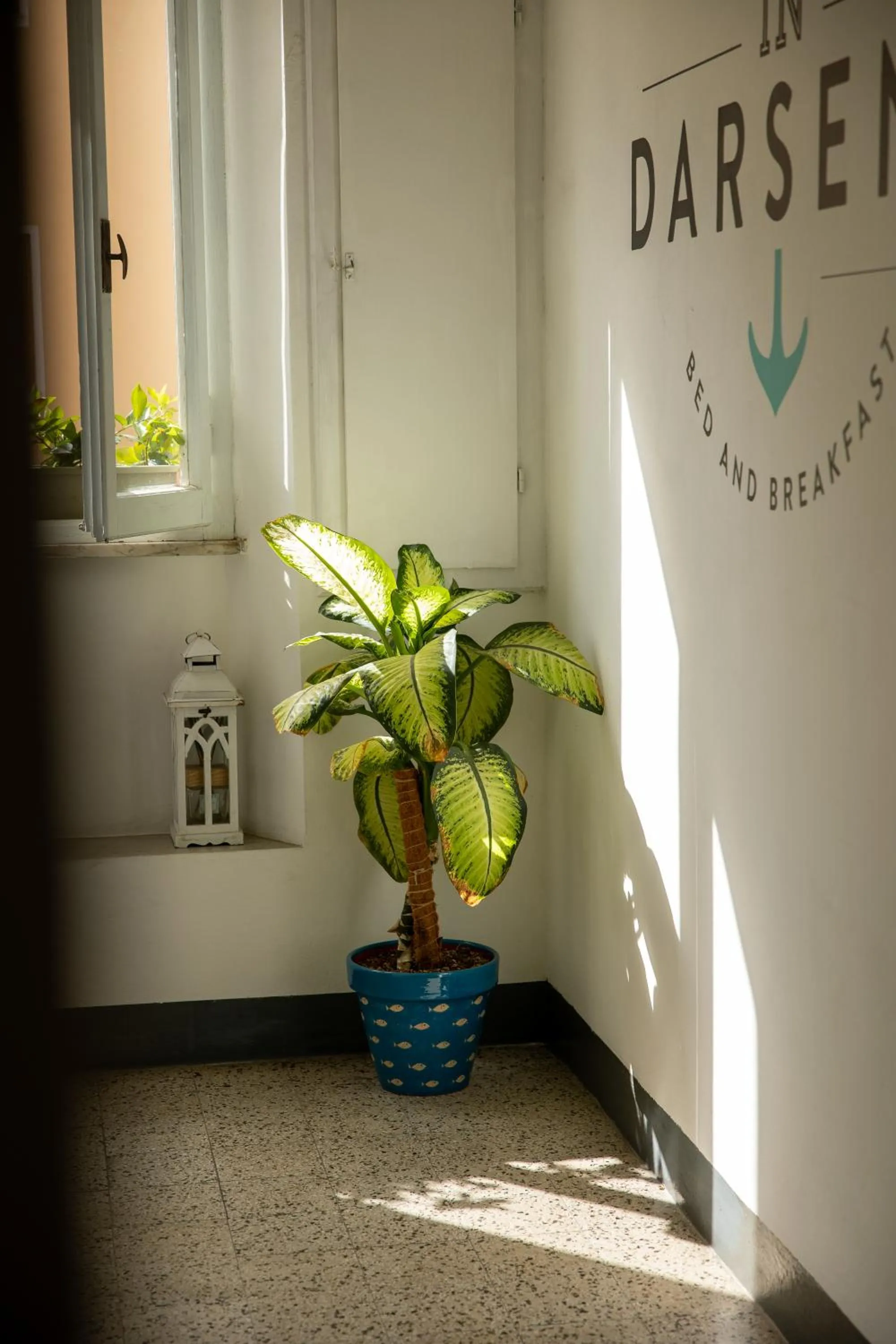 Bird's eye view in Indarsena b&b