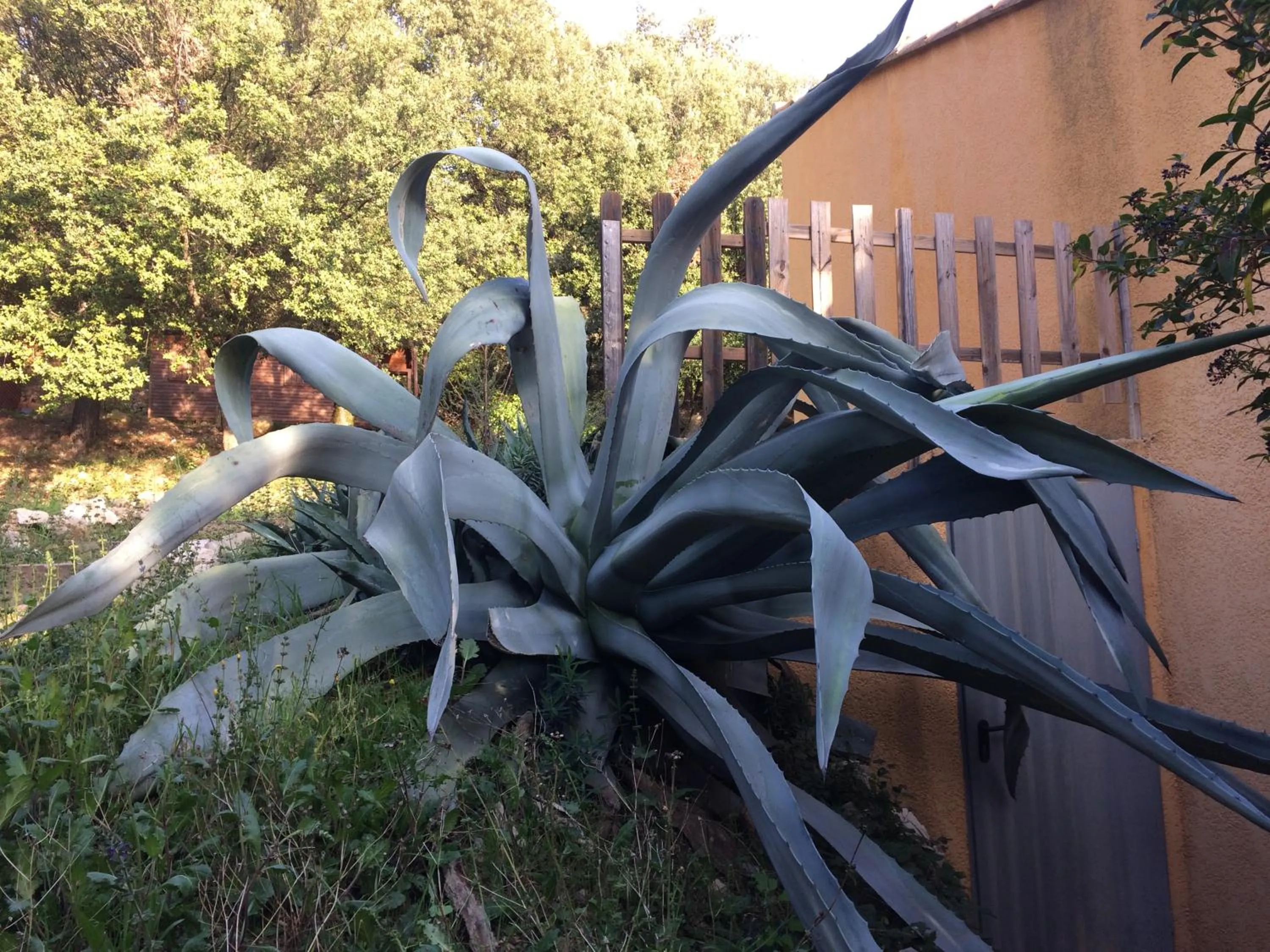 Property building in Les Arbousiers Village Hôtel Provençal