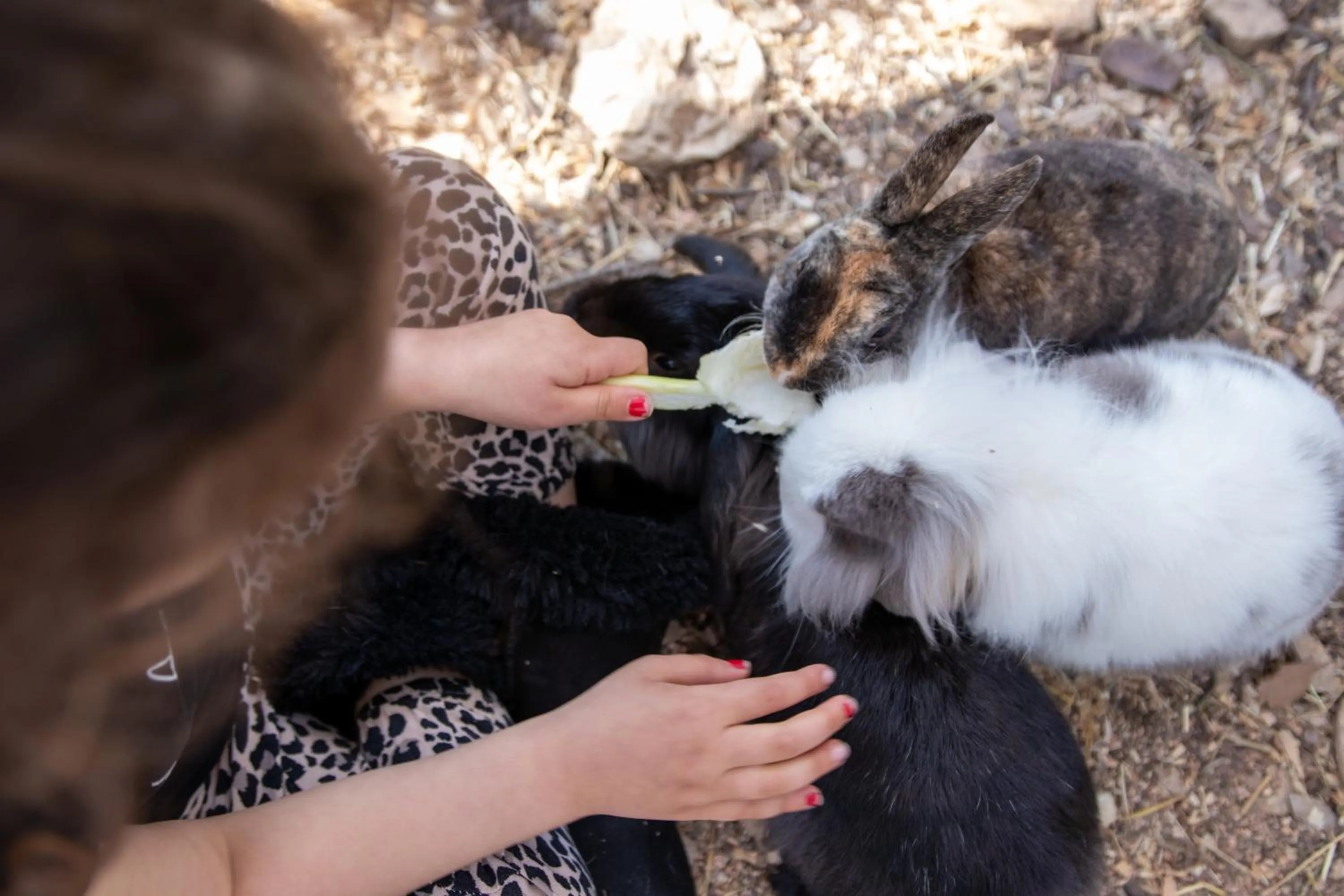 Property building in Les Arbousiers Village Hôtel Provençal