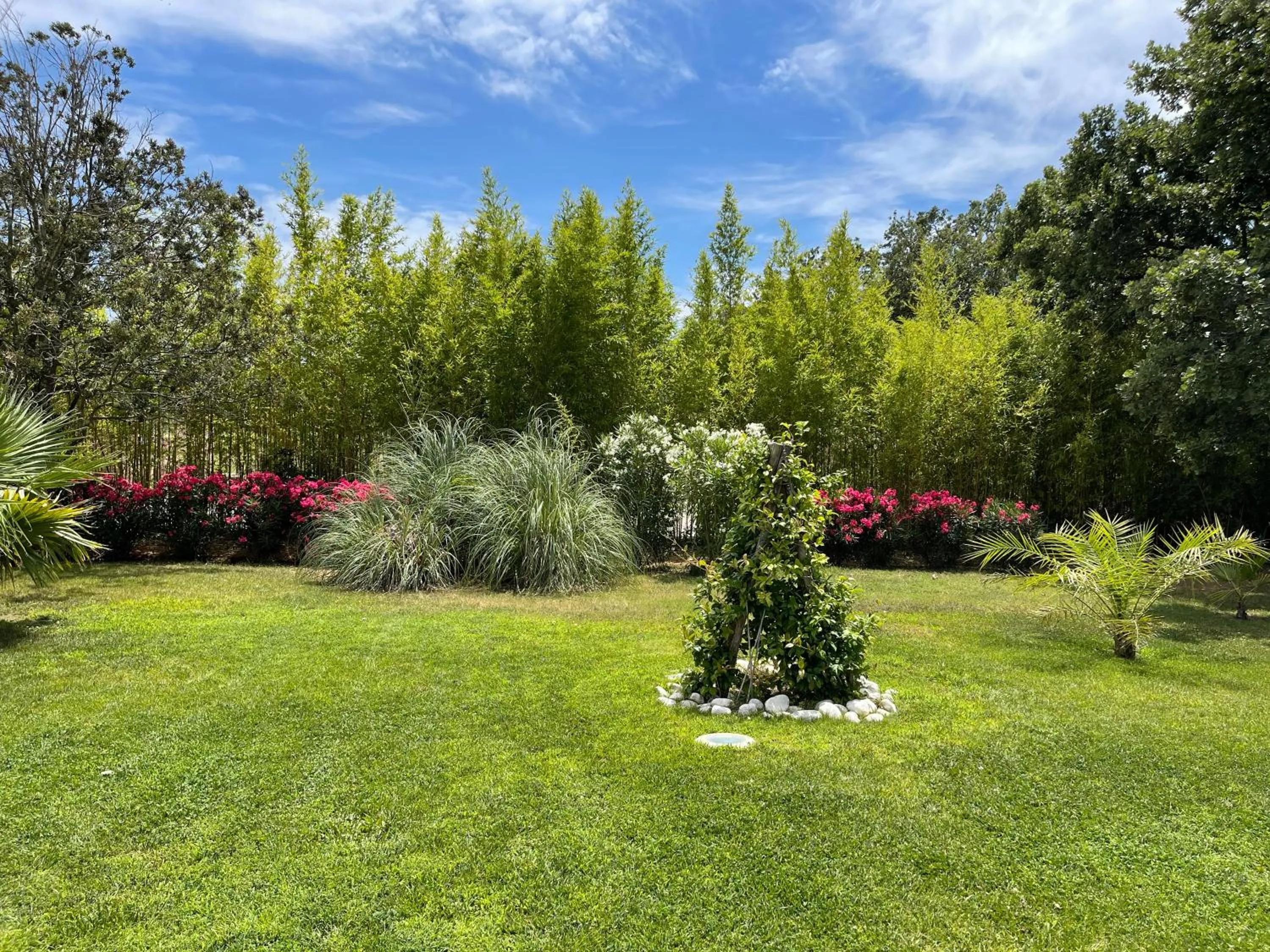 Garden view in La Tarentane