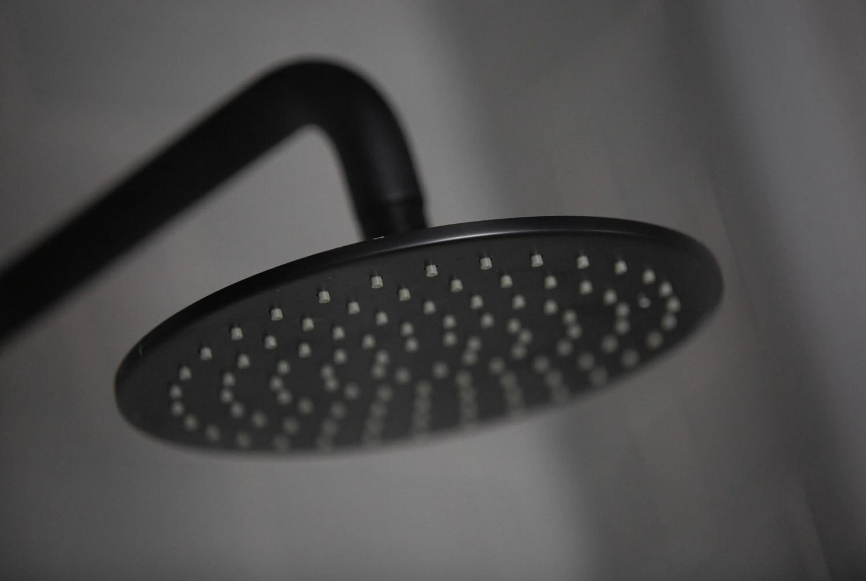 Shower in The Pickled Parson of Sedgefield