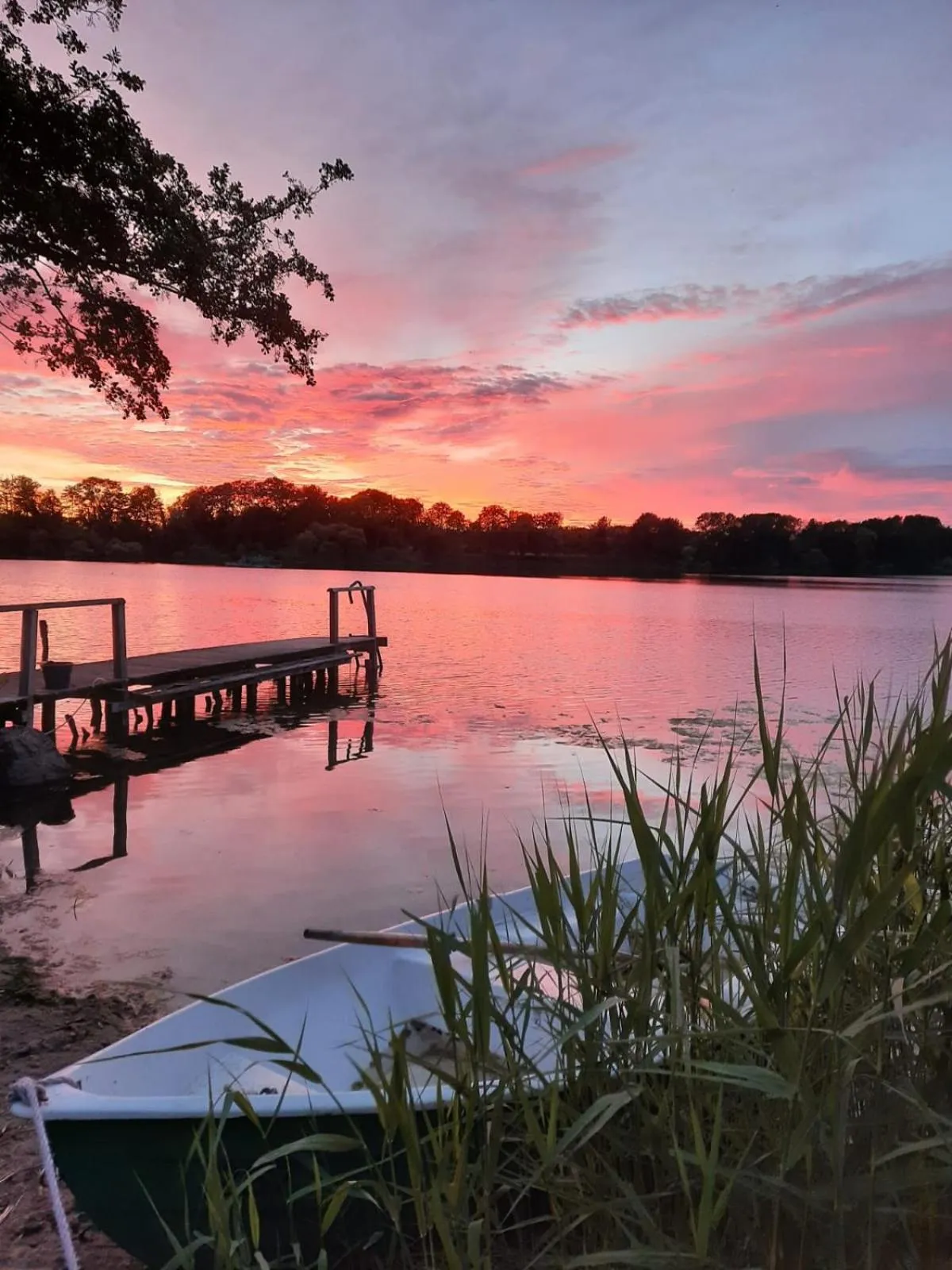 View (from property/room) in Hotel Fährhaus Niederkleveez