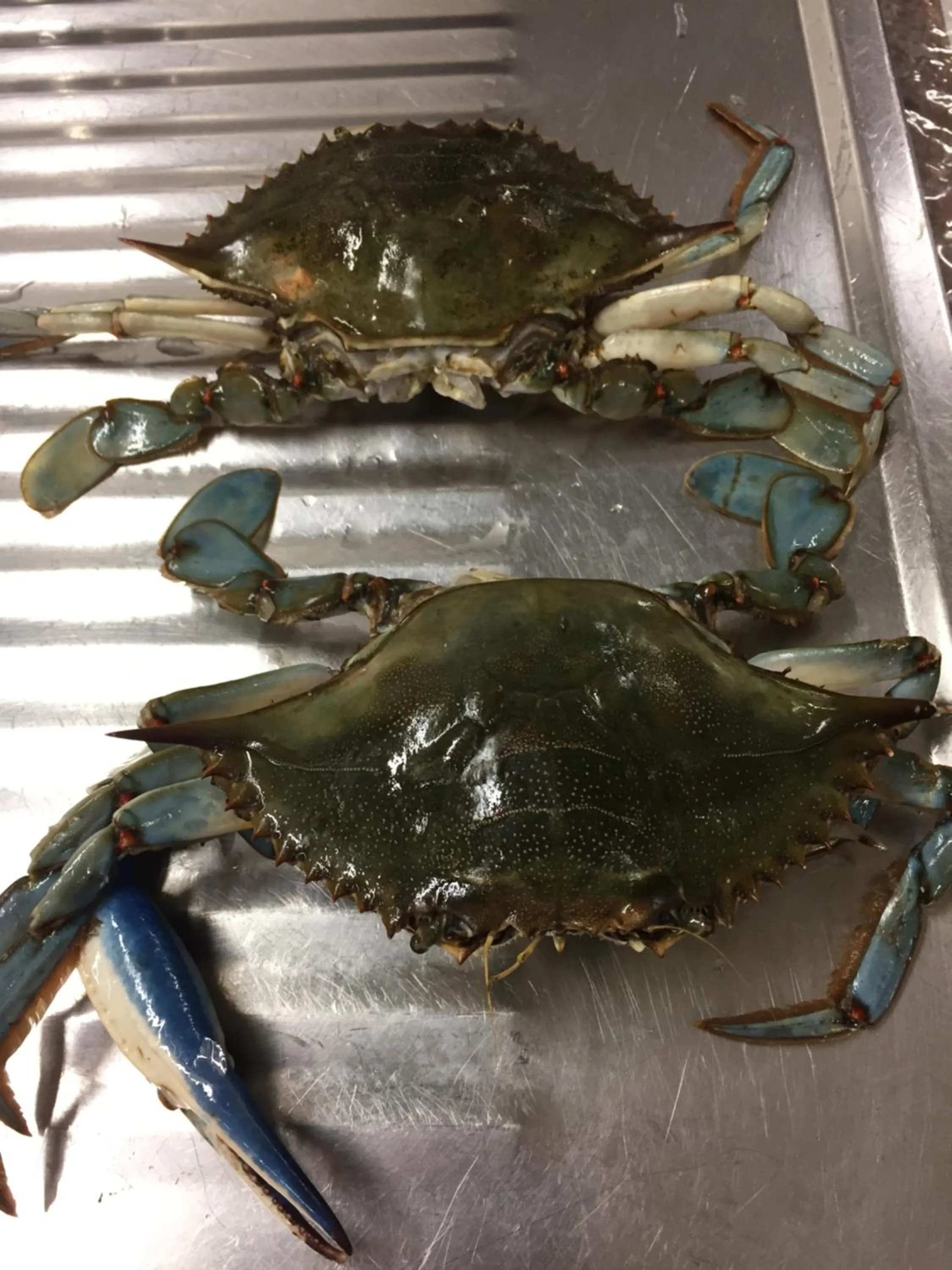 Banquet/Function facilities in Hotel Corona