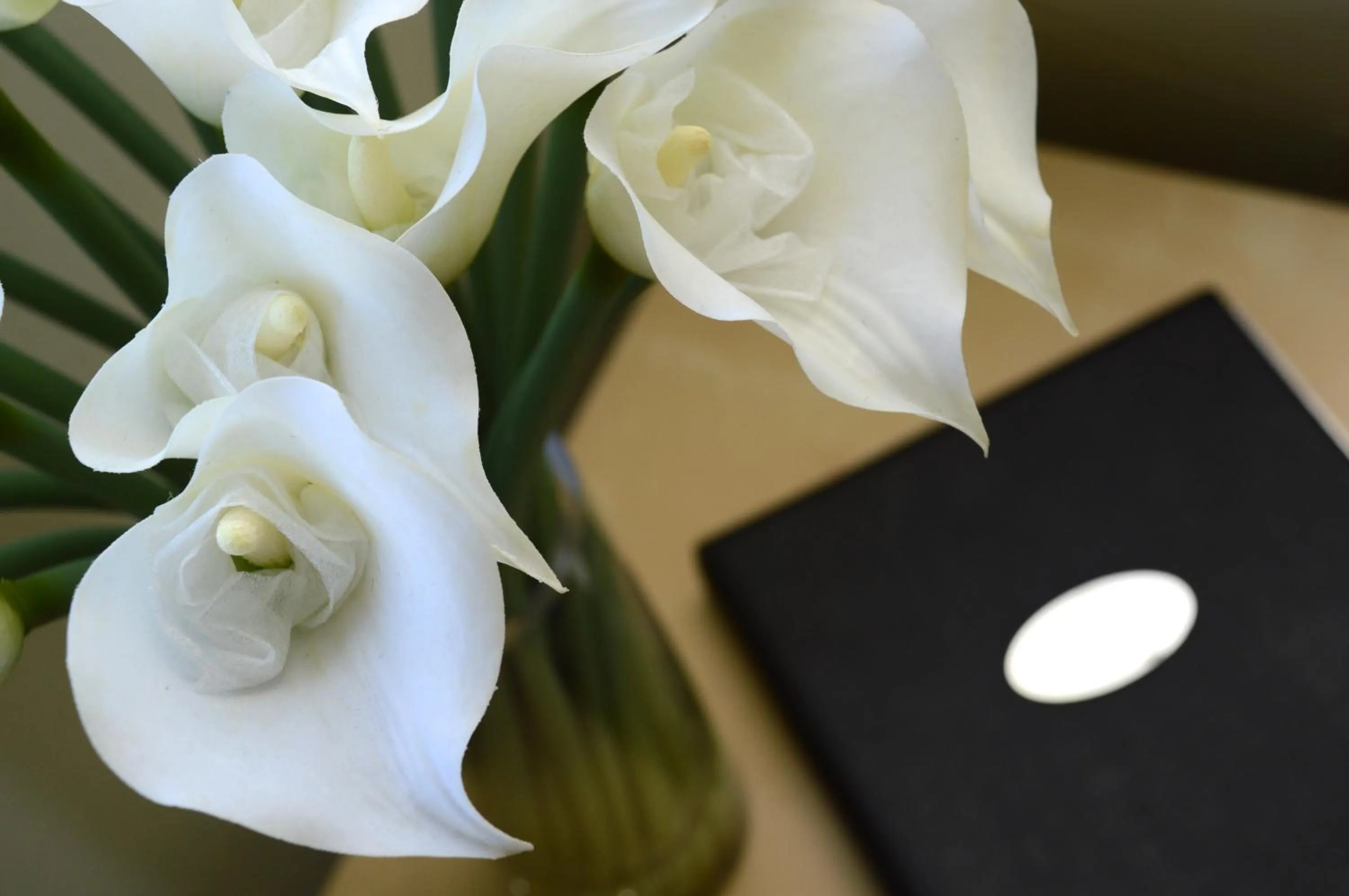 Birches Serviced Apartments