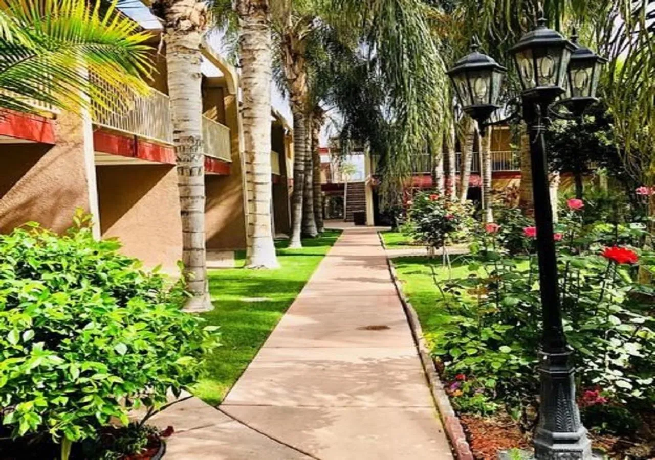 Garden in Duniya Hotel