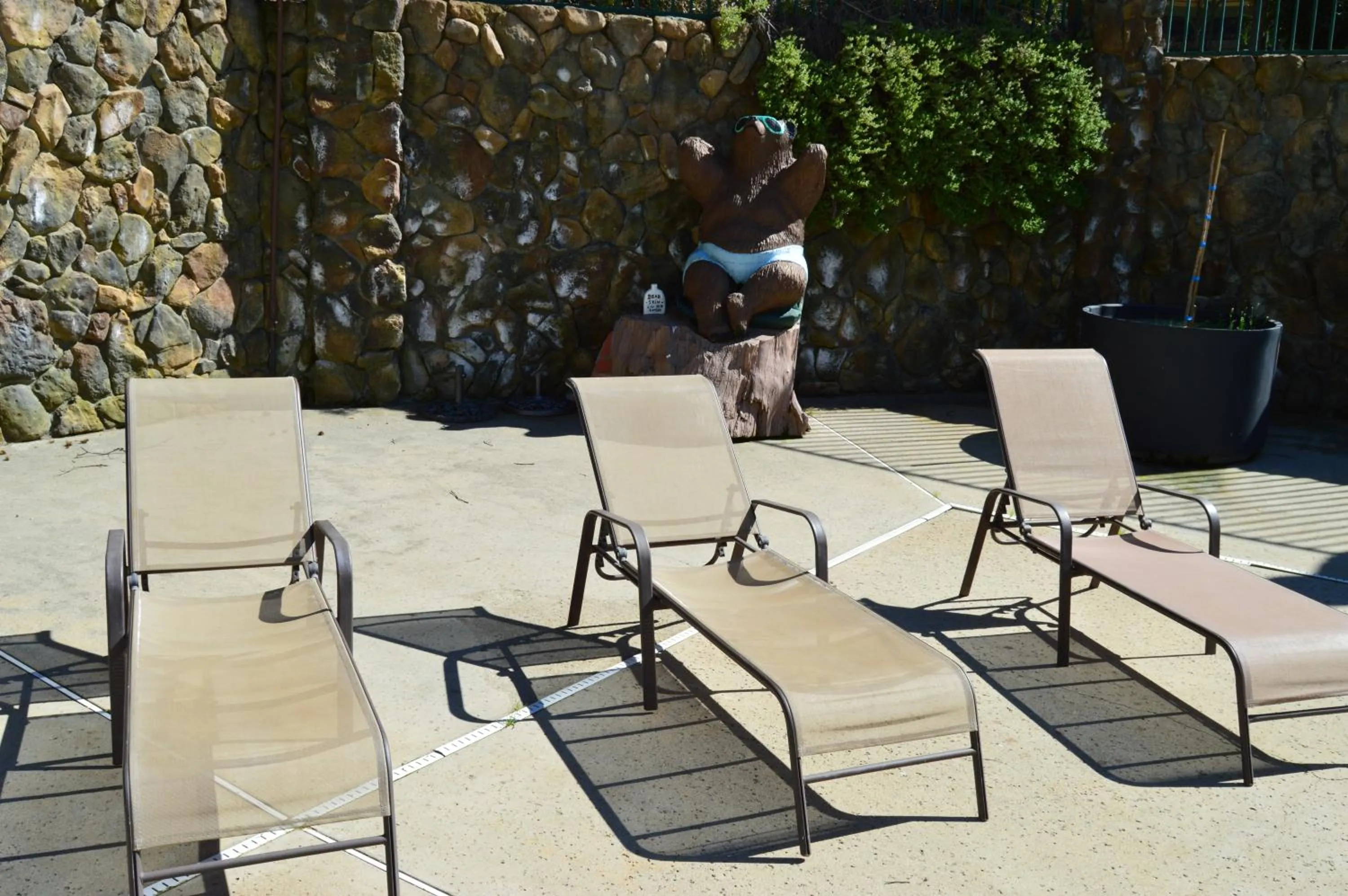 Swimming pool in Cedar Lodge
