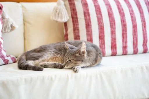 Hotel Boutique Pachamama