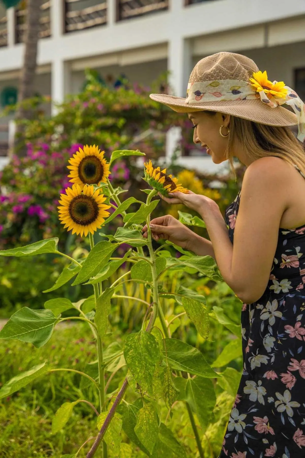 Garden in Hotel Los Farallones