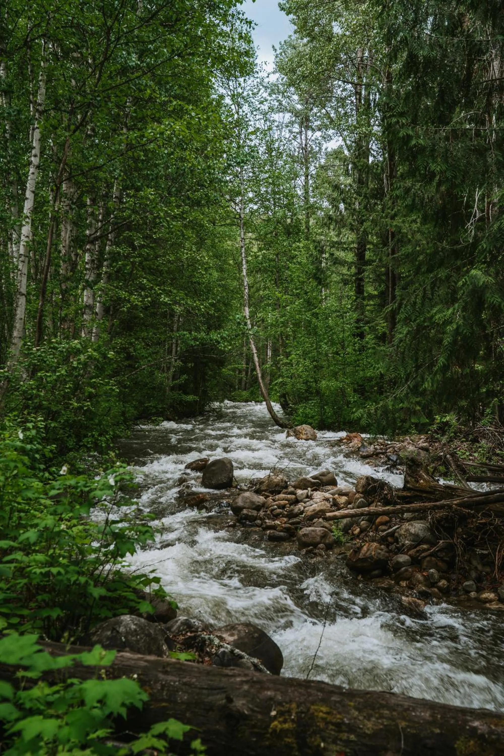 View (from property/room) in Across the Creek Cabins