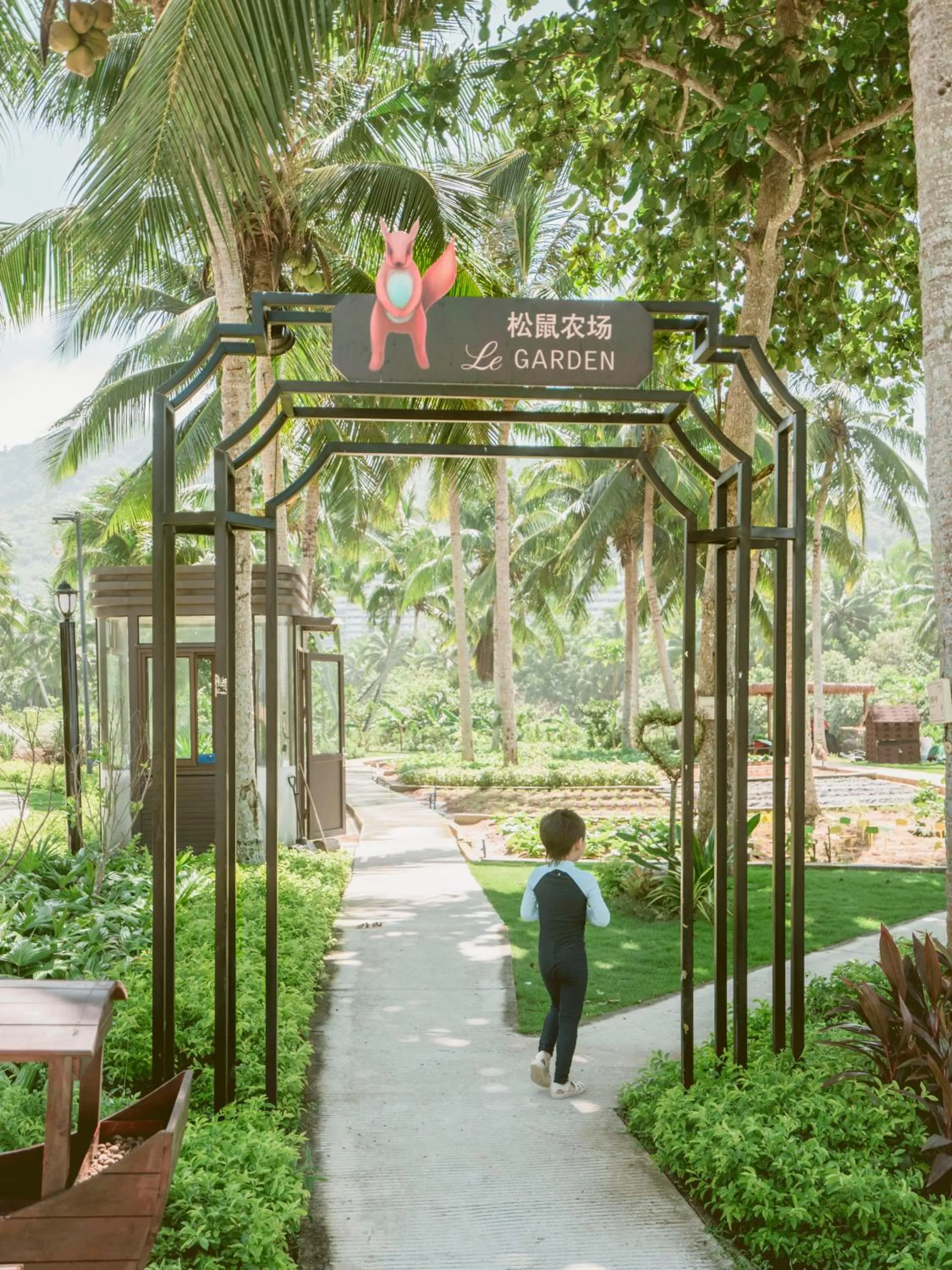 Natural landscape in Le Méridien Shimei Bay Beach Resort & Spa