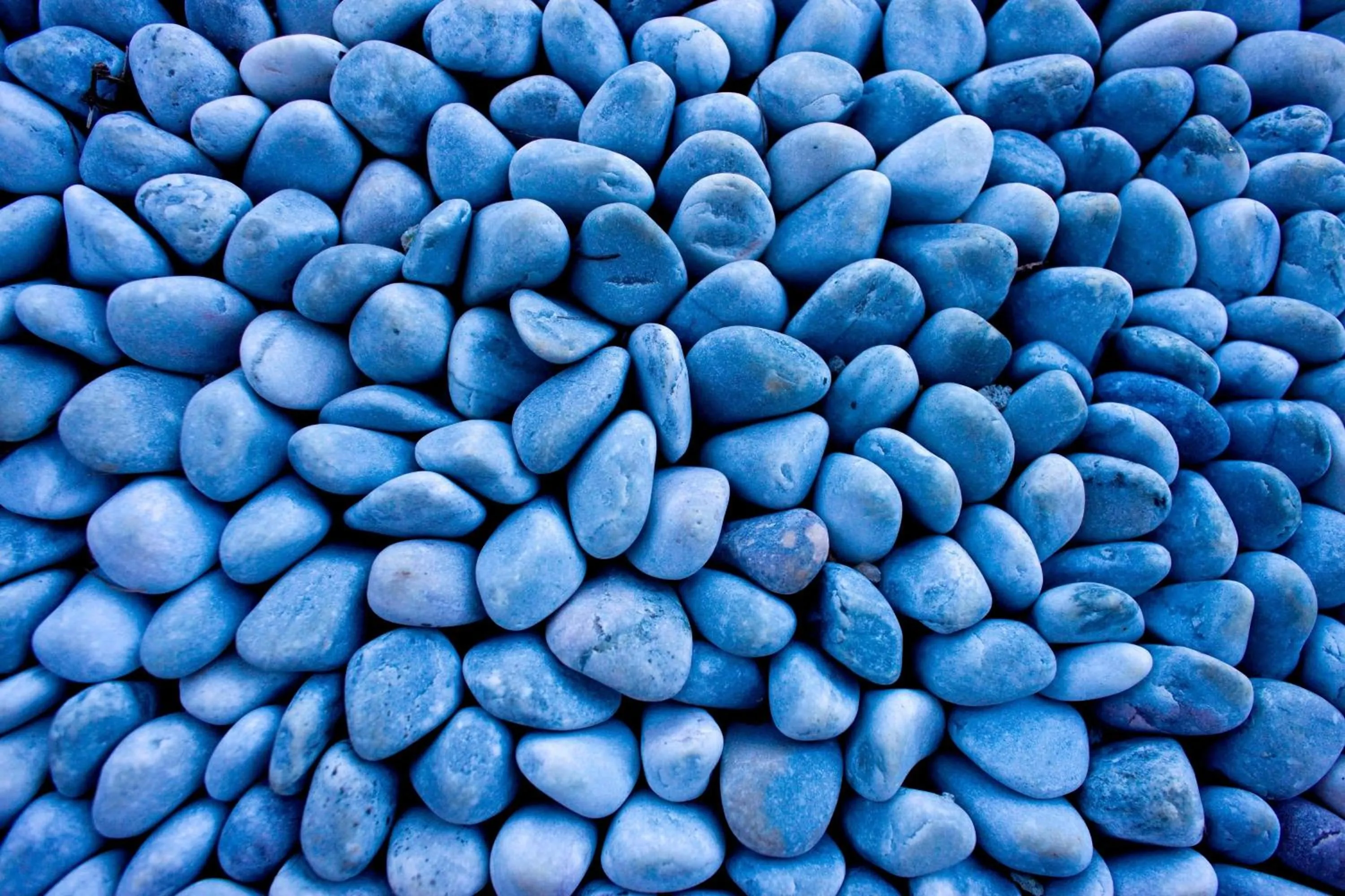 Other in Le Méridien Shimei Bay Beach Resort & Spa