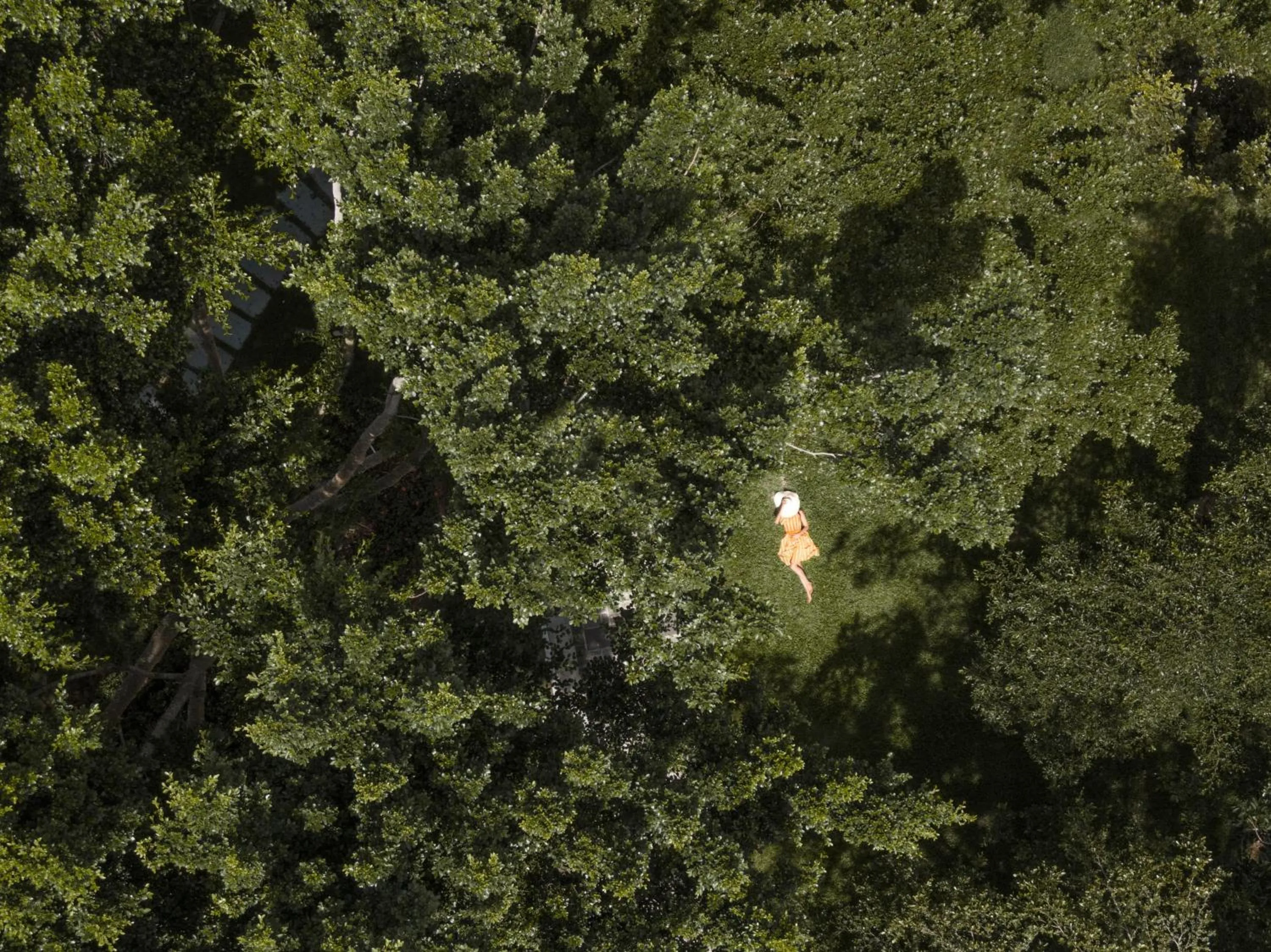 Property building in Le Méridien Shimei Bay Beach Resort & Spa