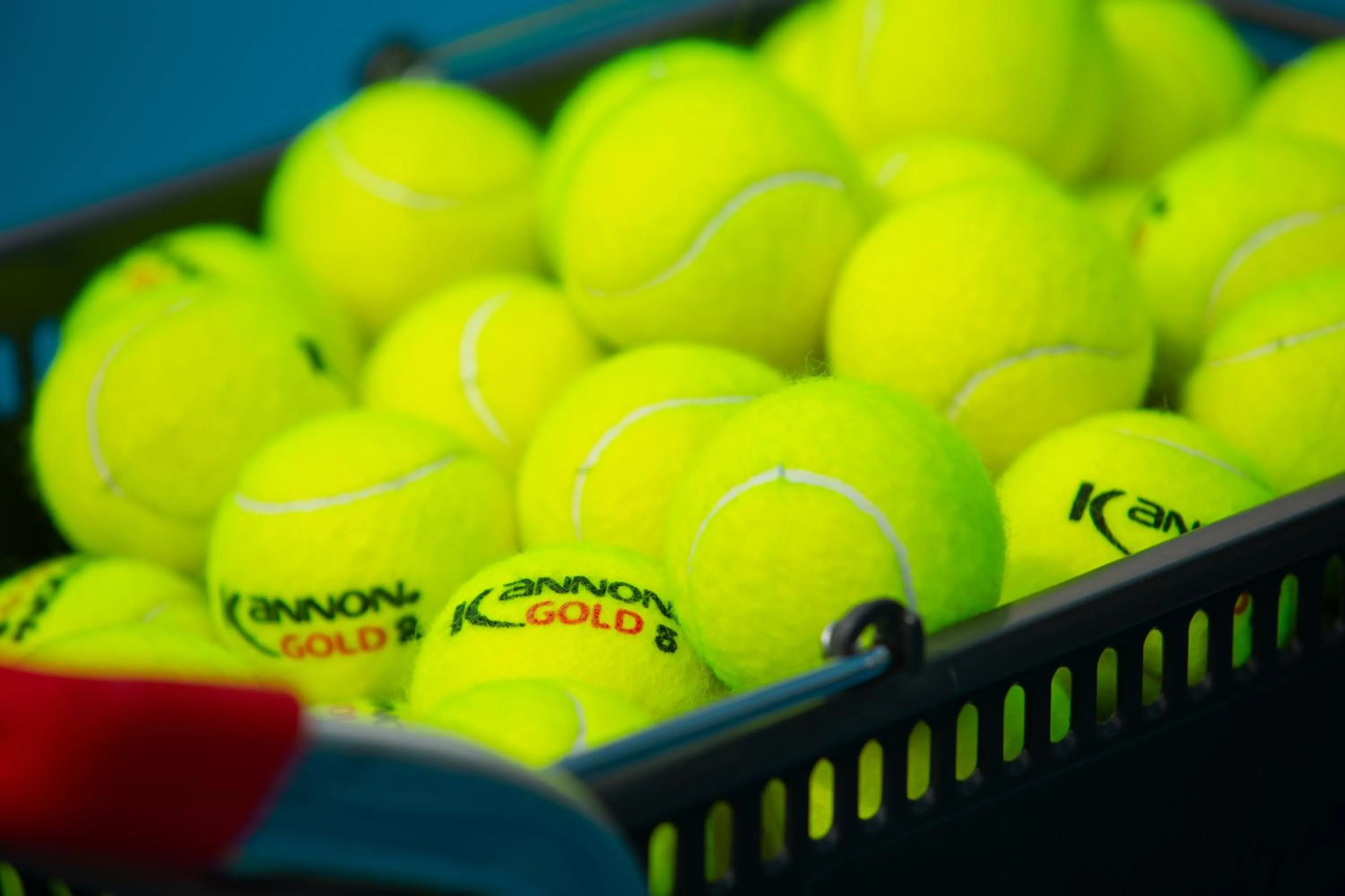Tennis court in Le Méridien Shimei Bay Beach Resort & Spa