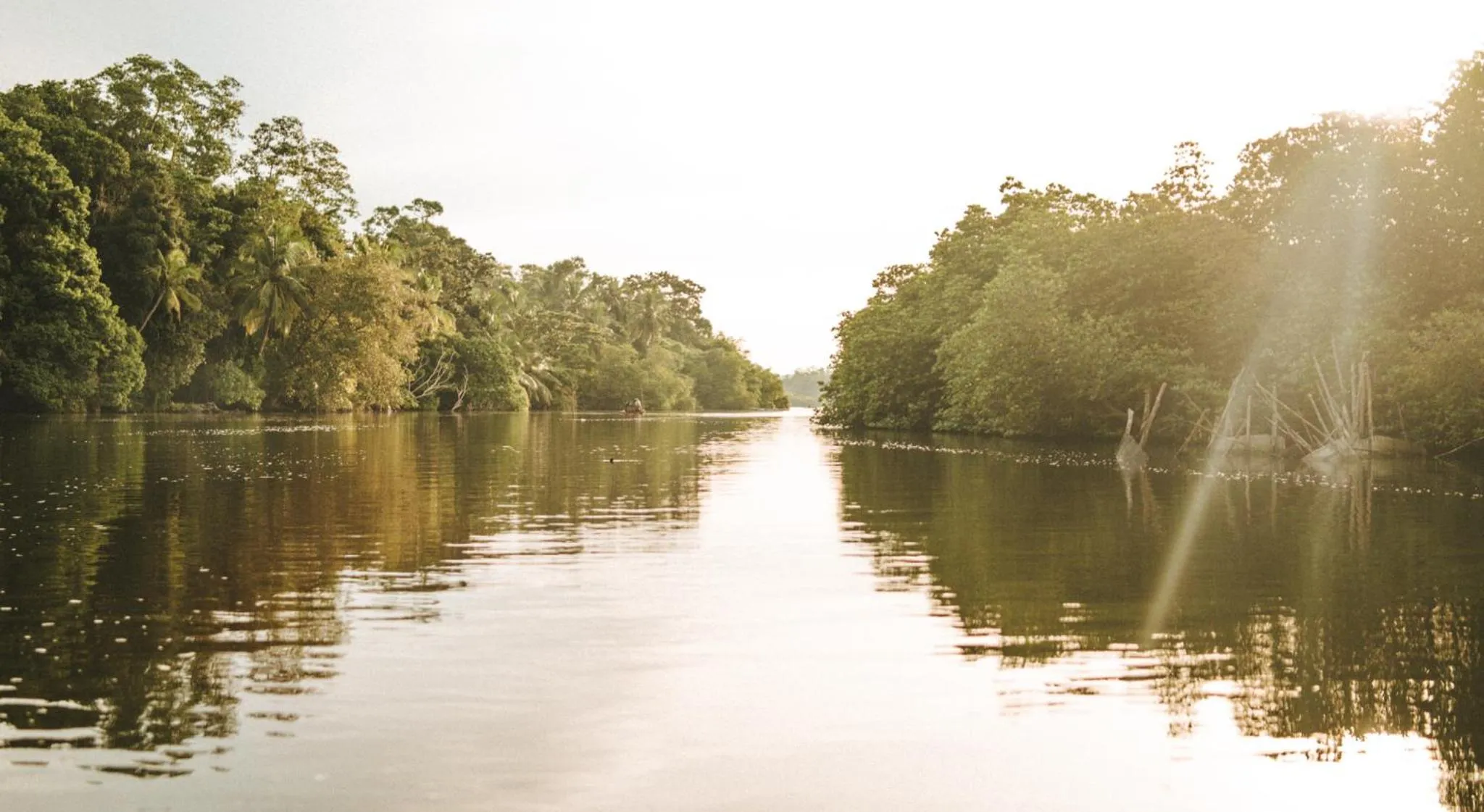 Villa Balapitiya Beach