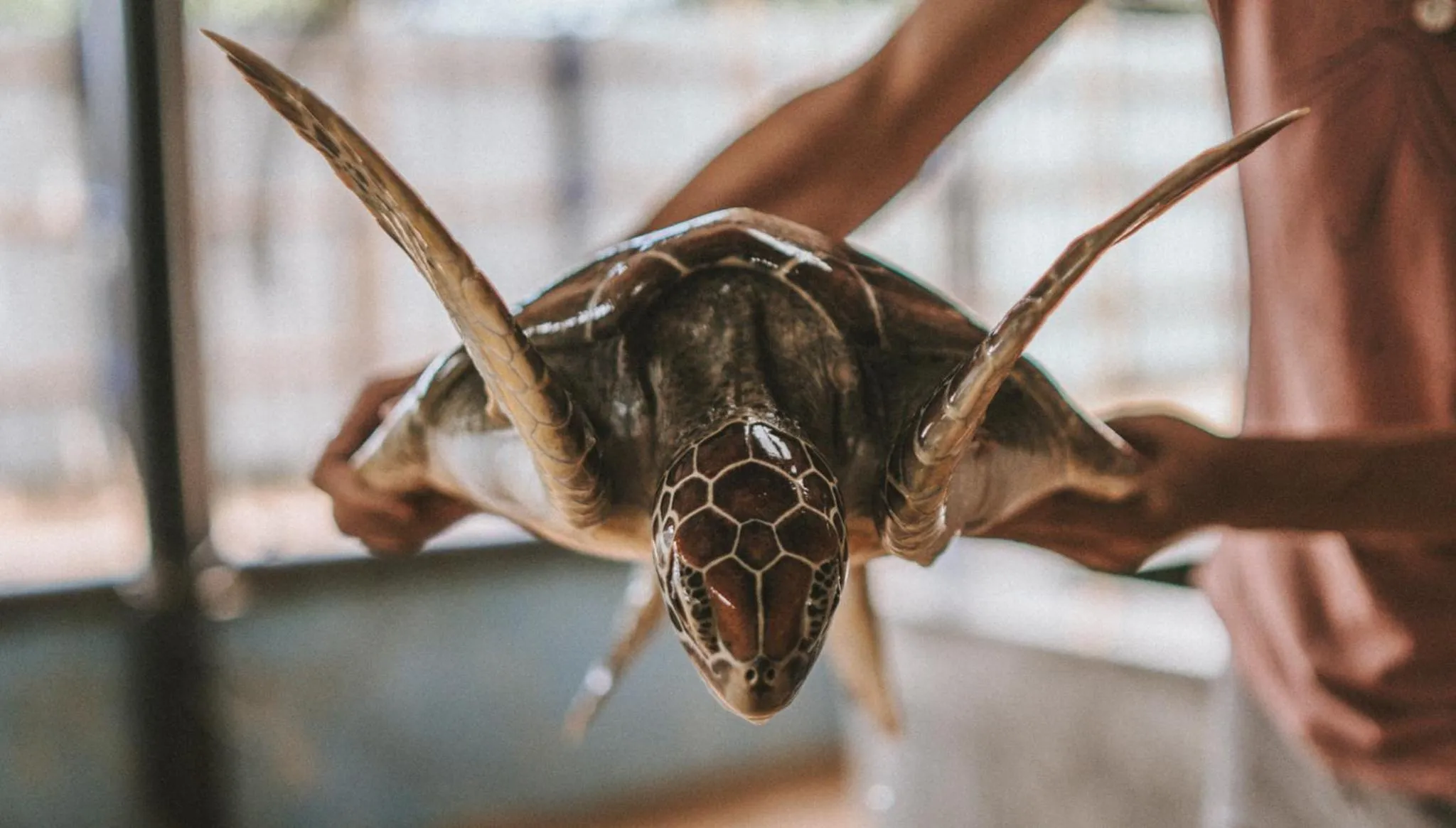 Neighbourhood in Villa Balapitiya Beach