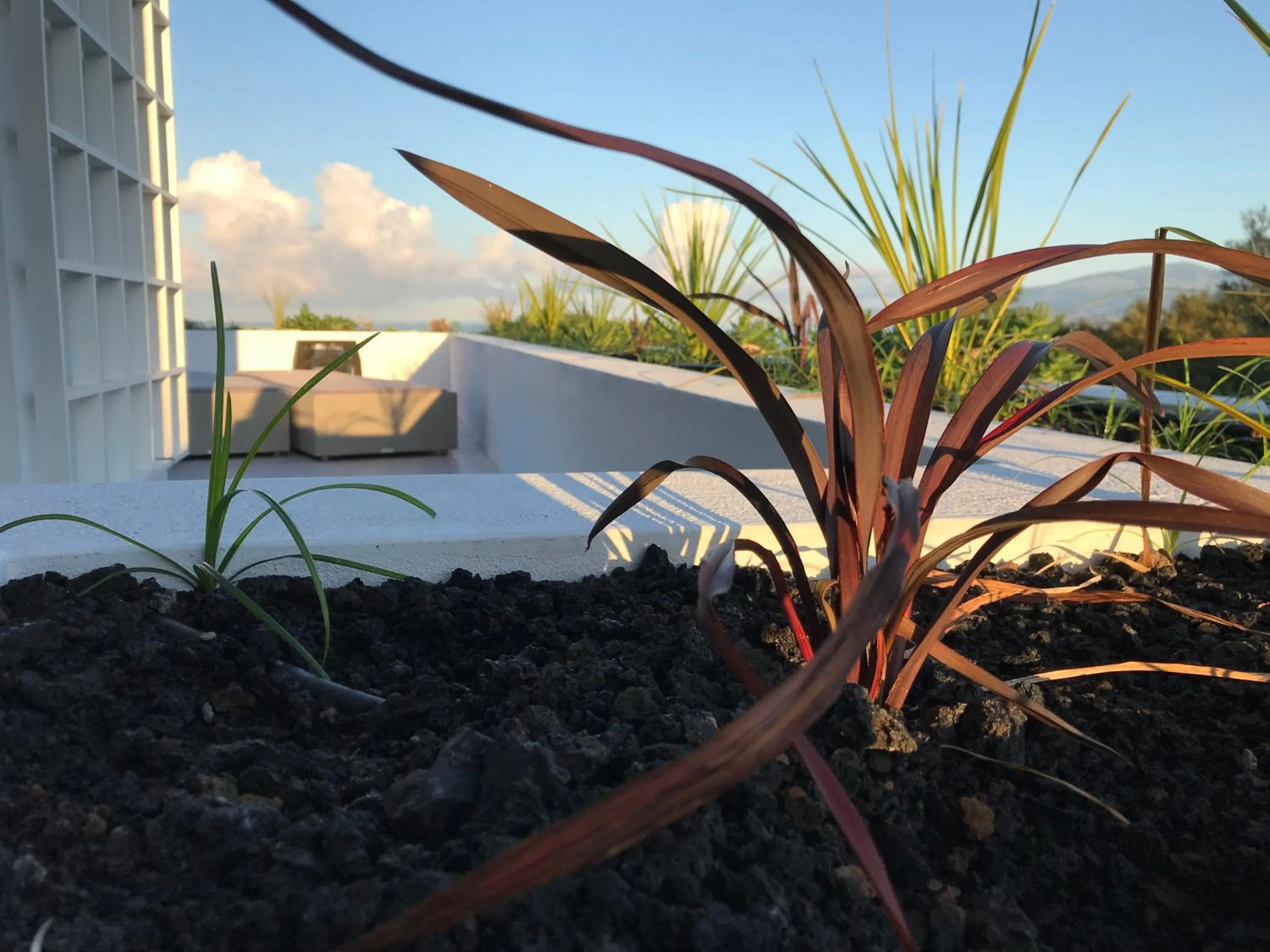 Off site in Vinhas do Calhau