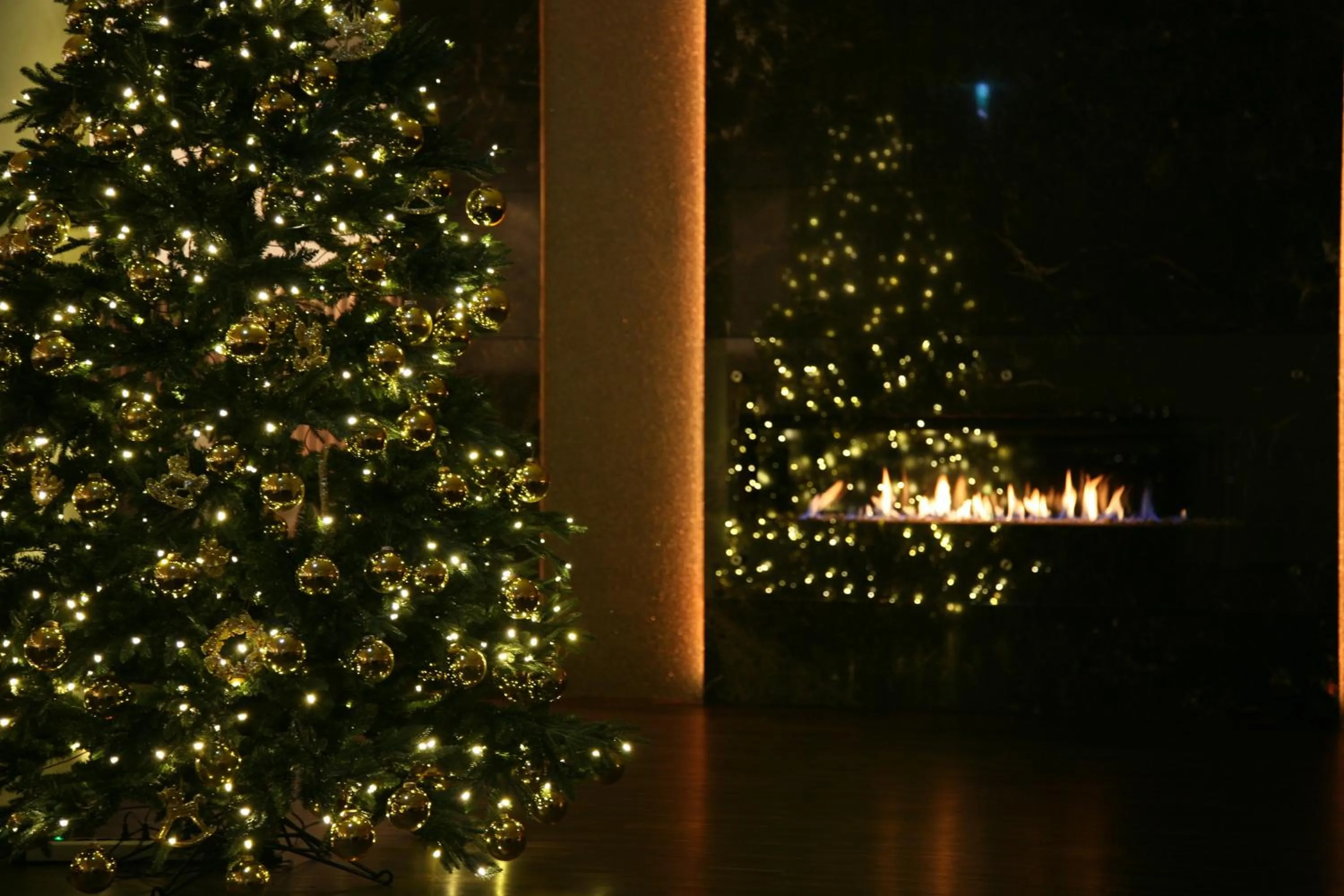 Night in Hotel Favor