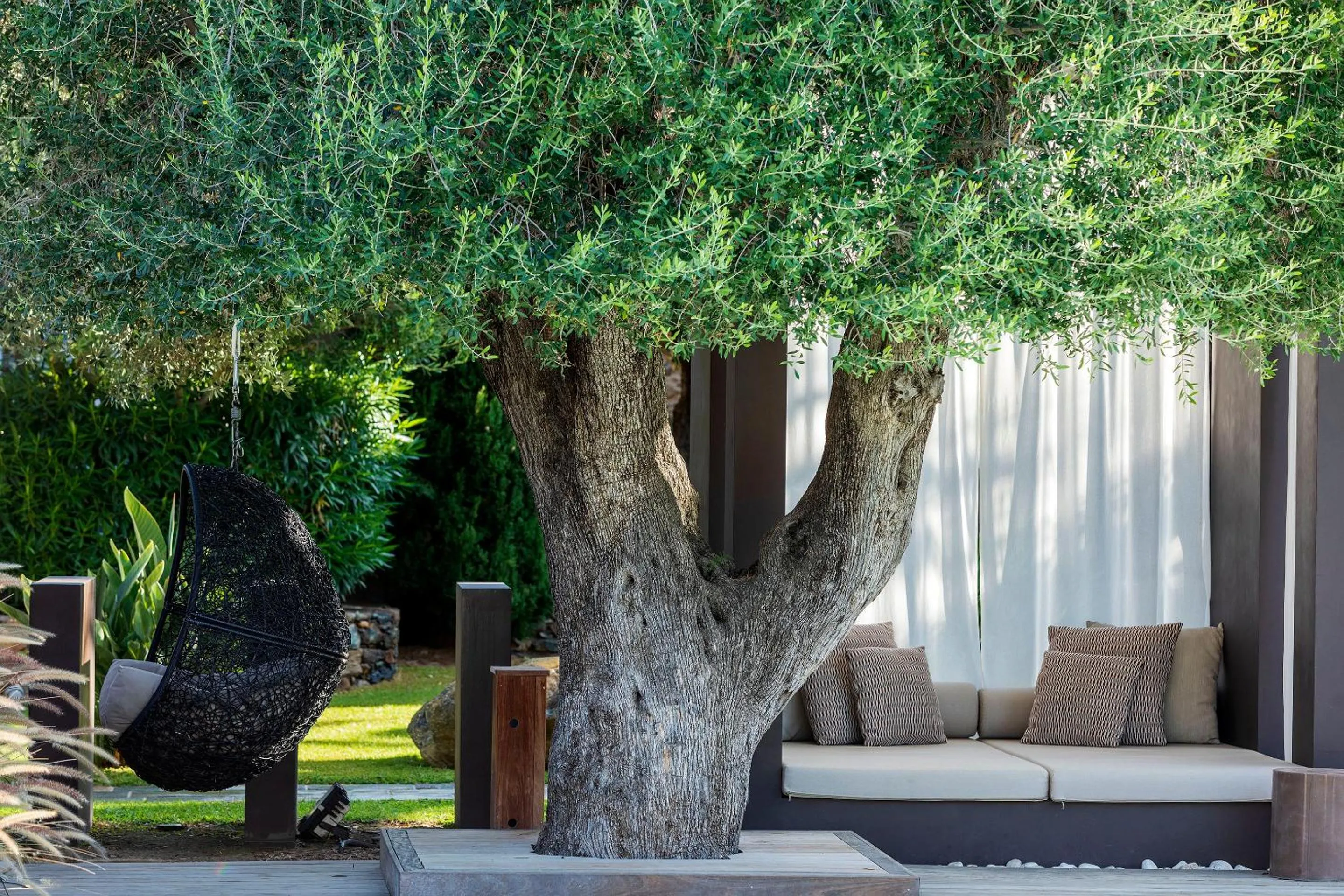 Garden in Hôtel La Dimora & Spa