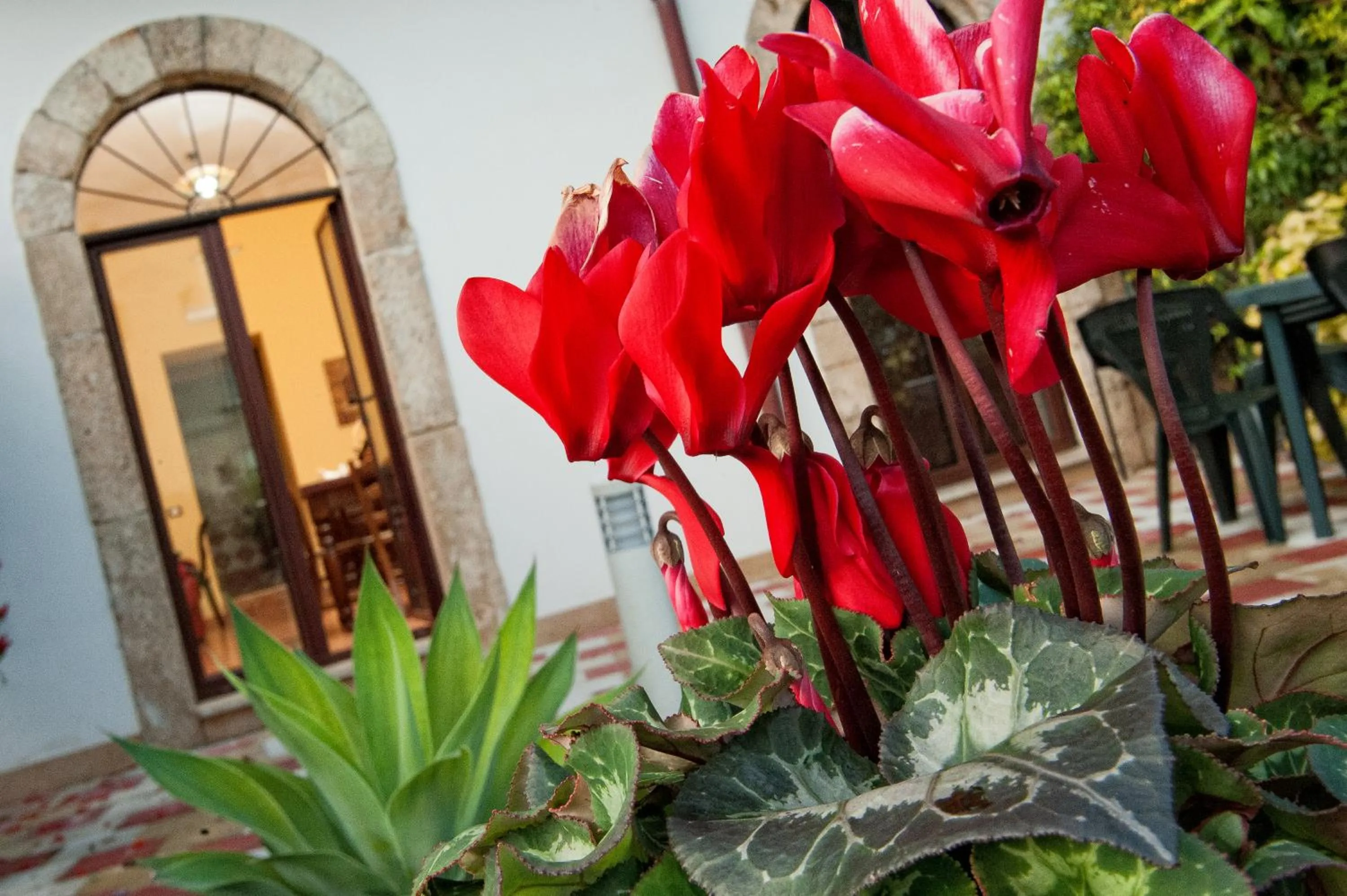 Spring in Casale La Zagara