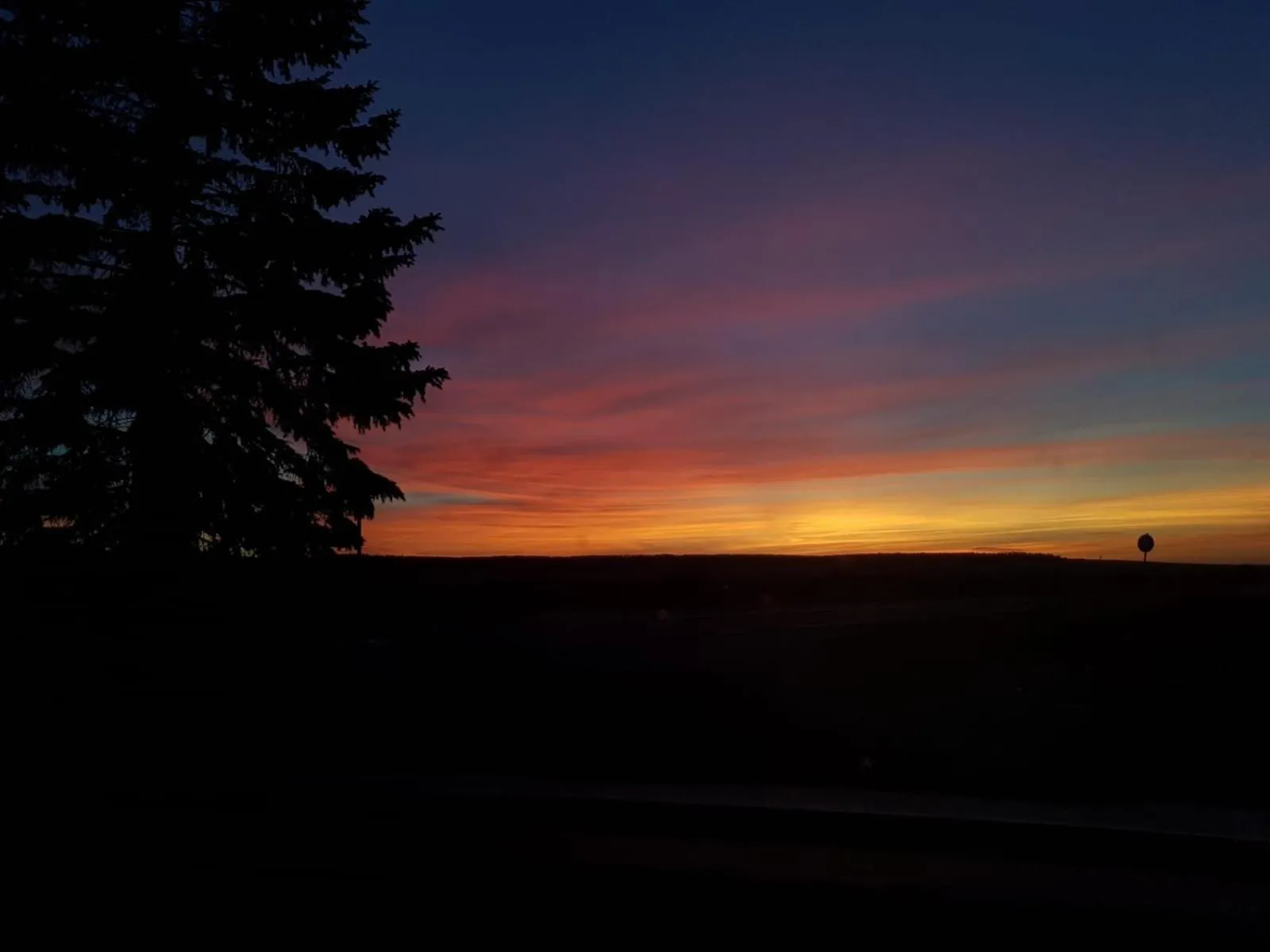 View (from property/room) in Landhaus Nauenburg
