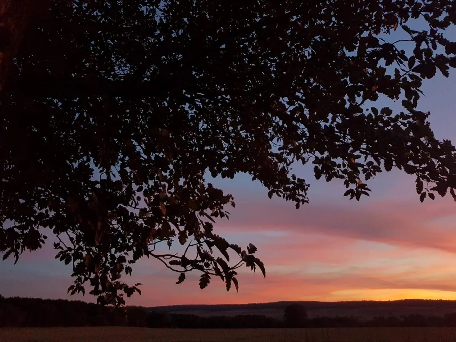 View (from property/room) in Landhaus Nauenburg