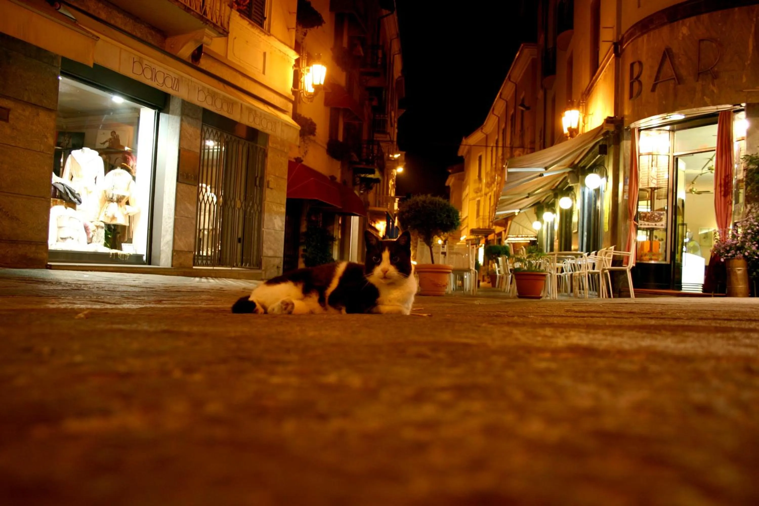 Area and facilities in Hotel Principe