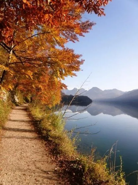 Area and facilities in Schillerhof Hotel GARNI