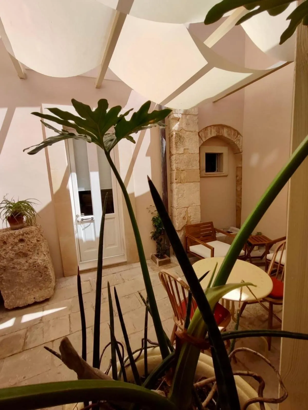 Garden in La Via della Giudecca