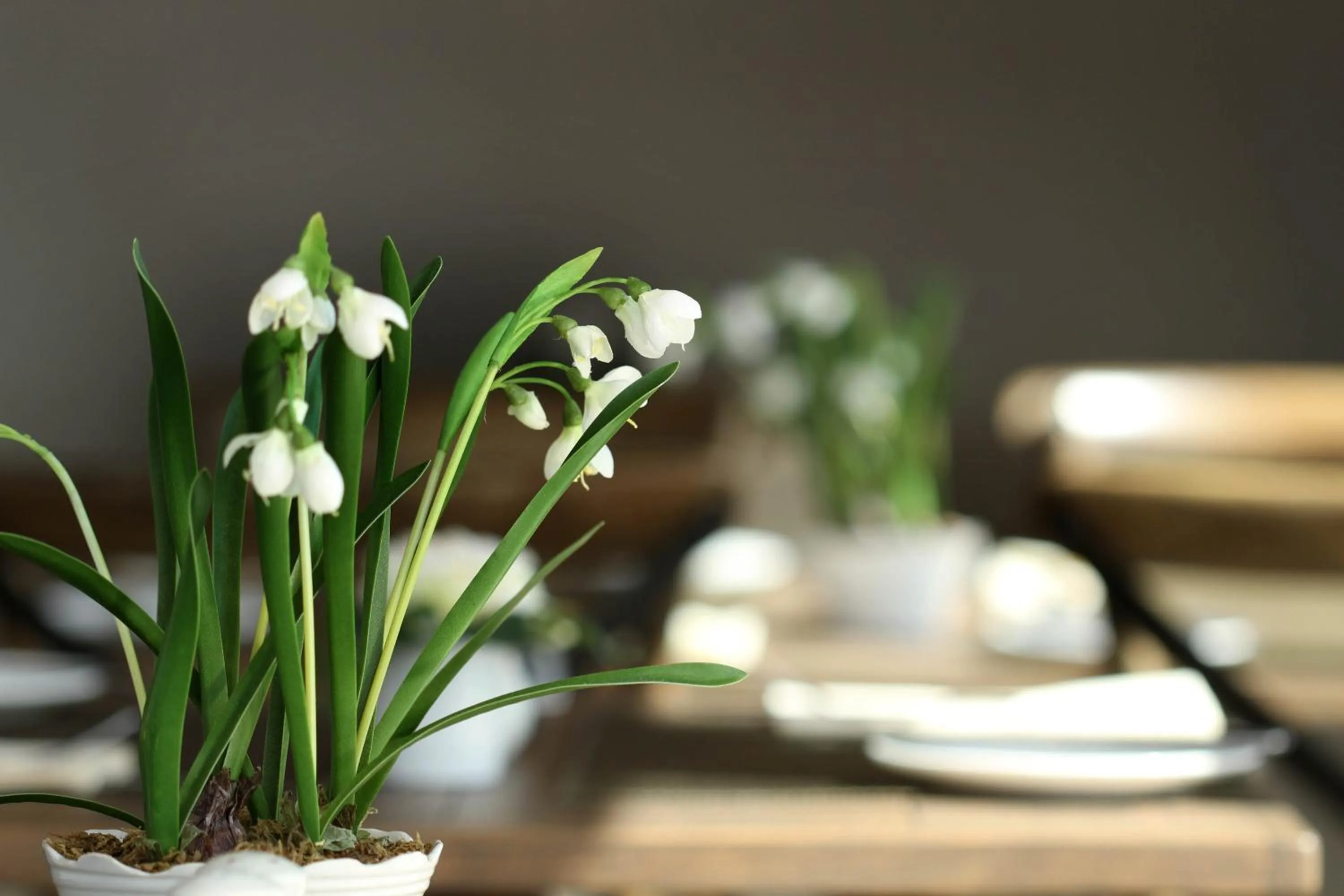 Food and drinks in West Highland Hotel