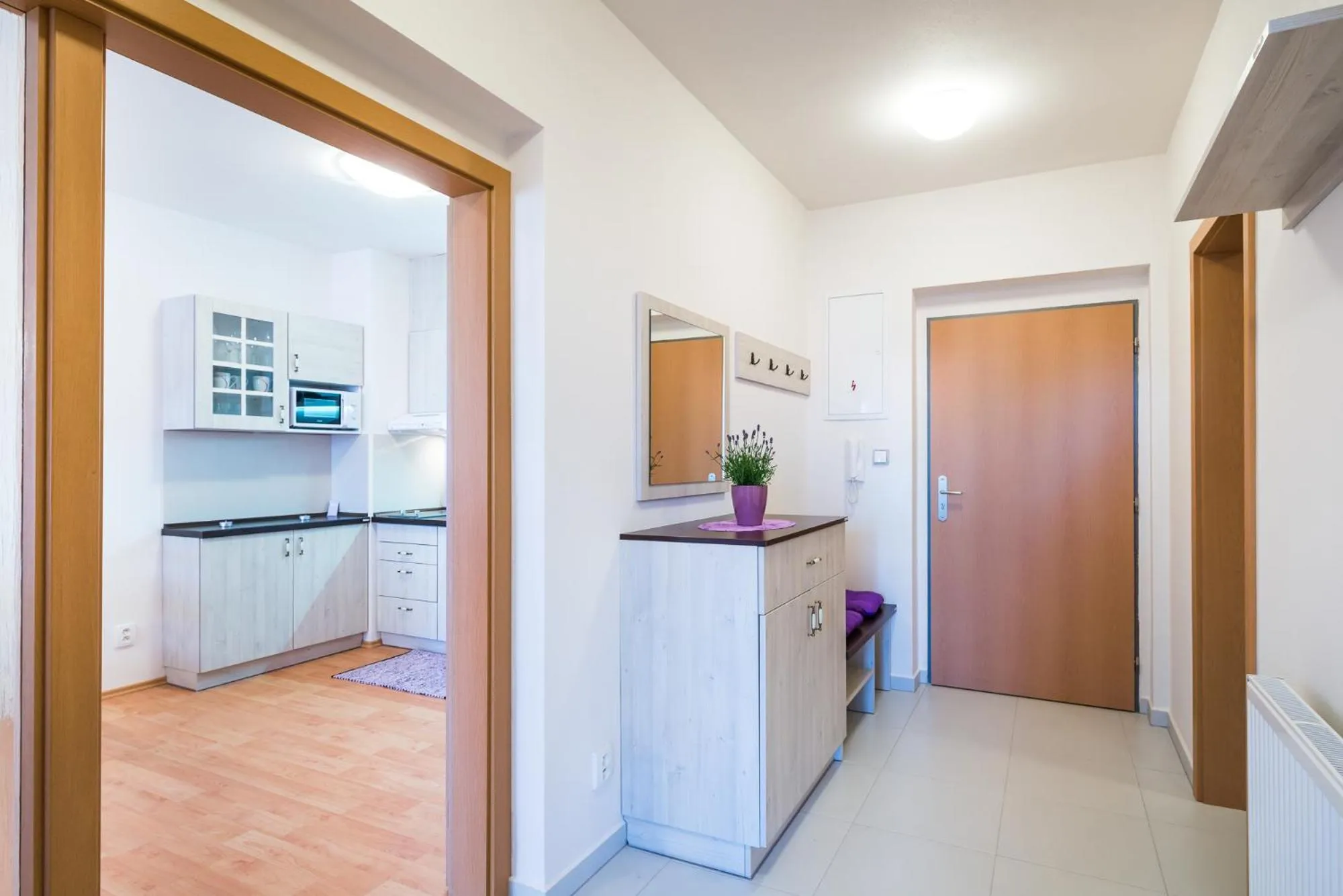 Kitchen or kitchenette in RELAX PARK Třeboň I