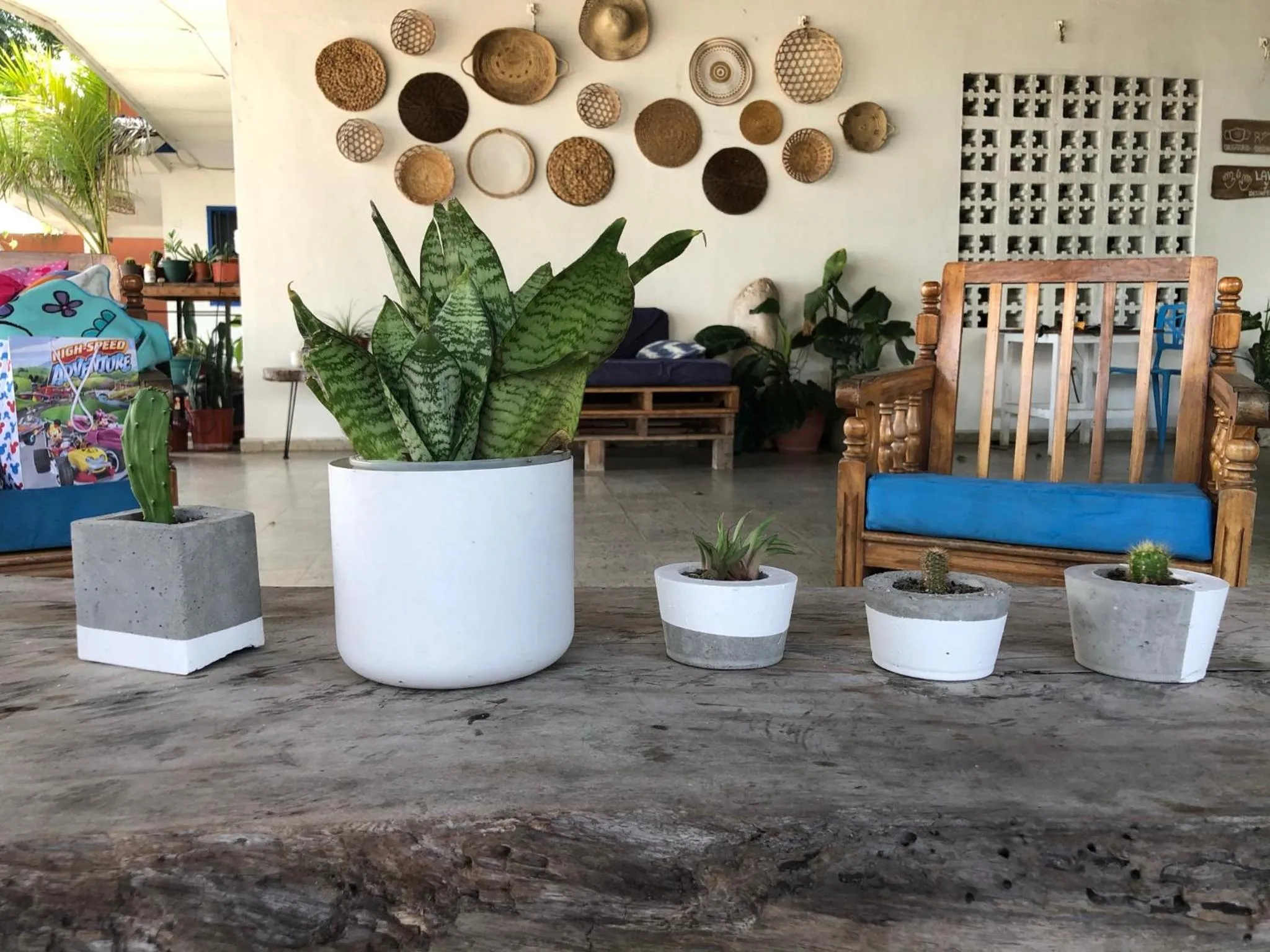 Lobby or reception in Casa Greca