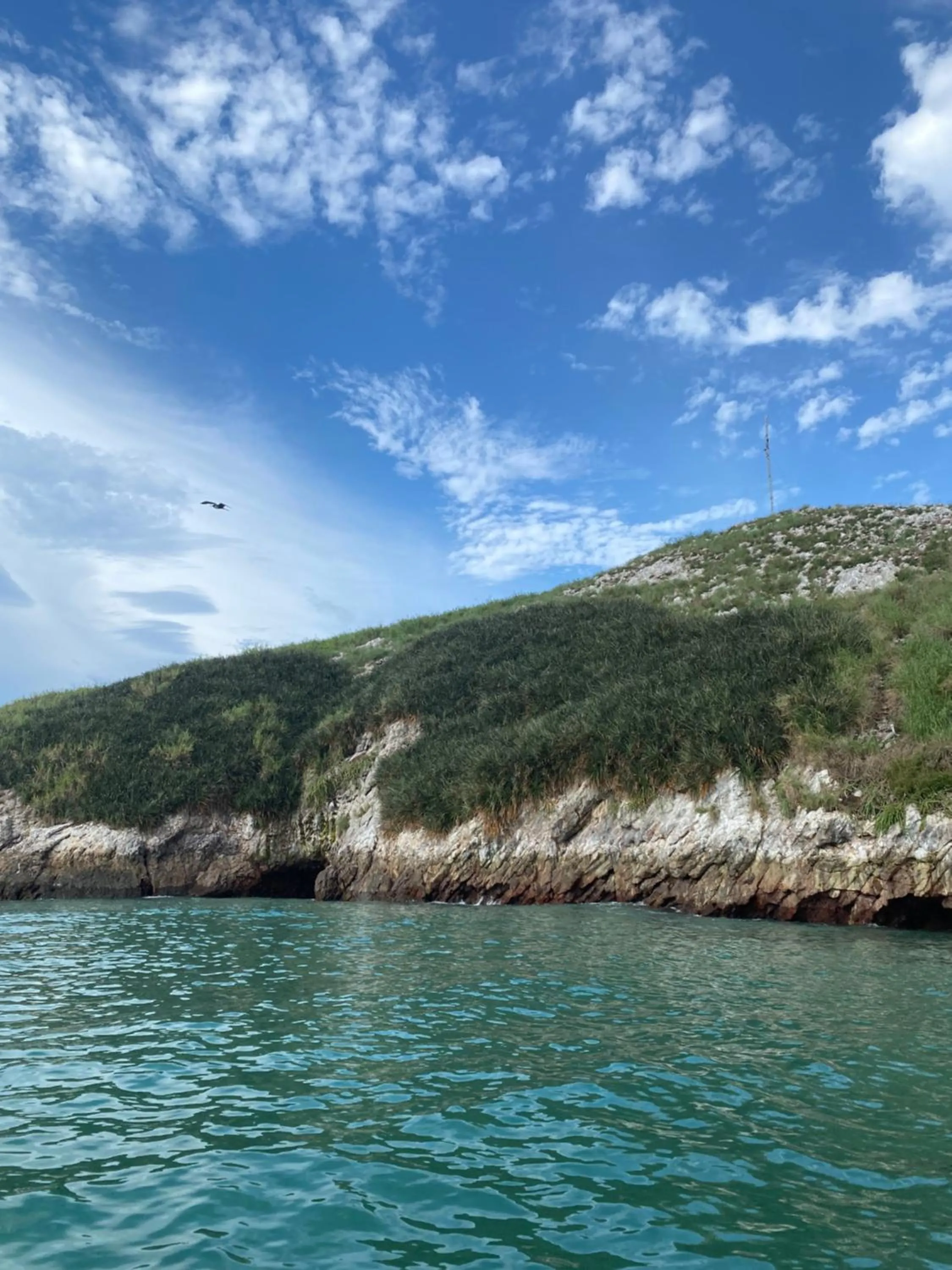 Natural landscape in Casa Greca