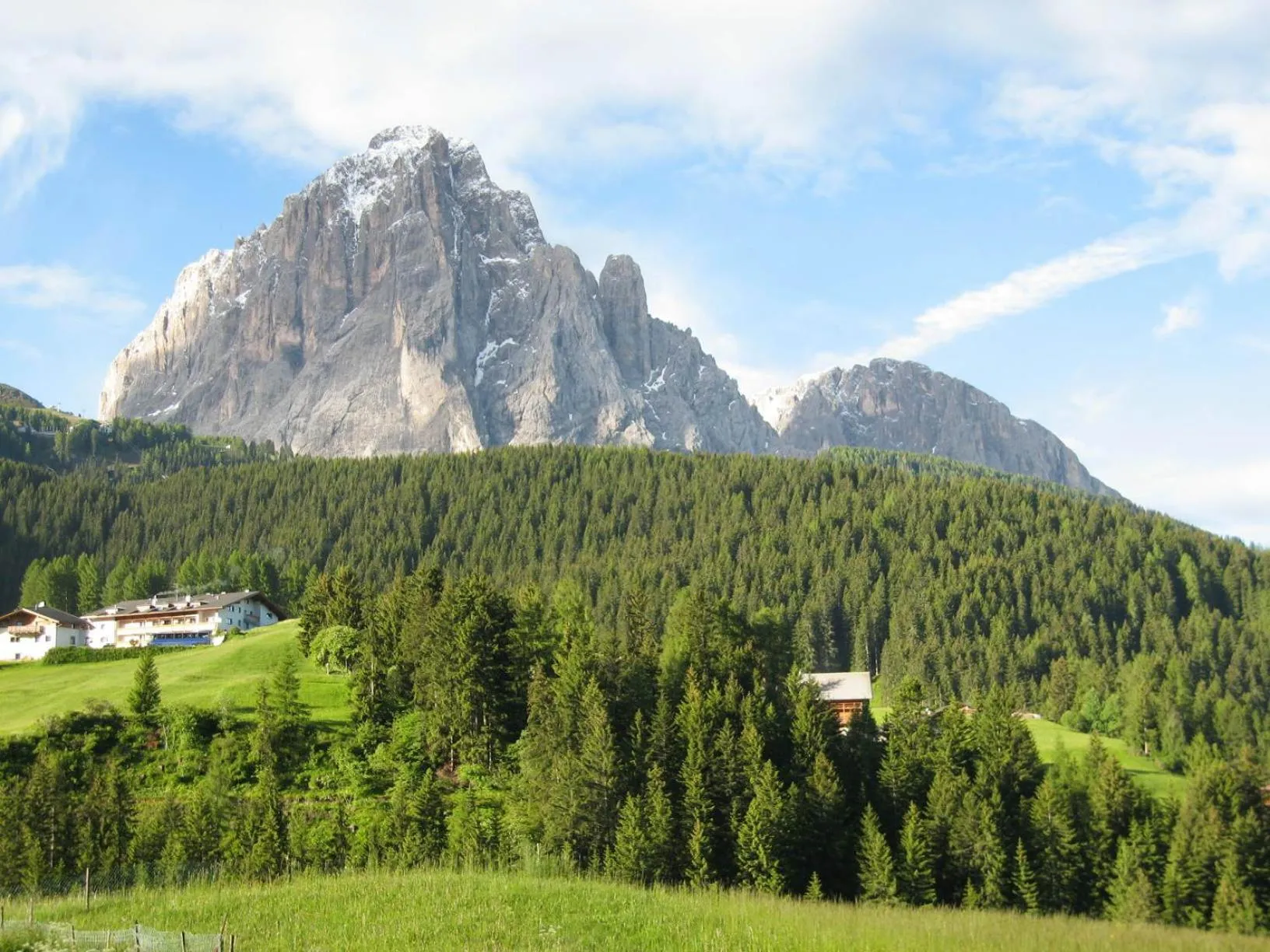 Natural landscape in Hotel Rodella
