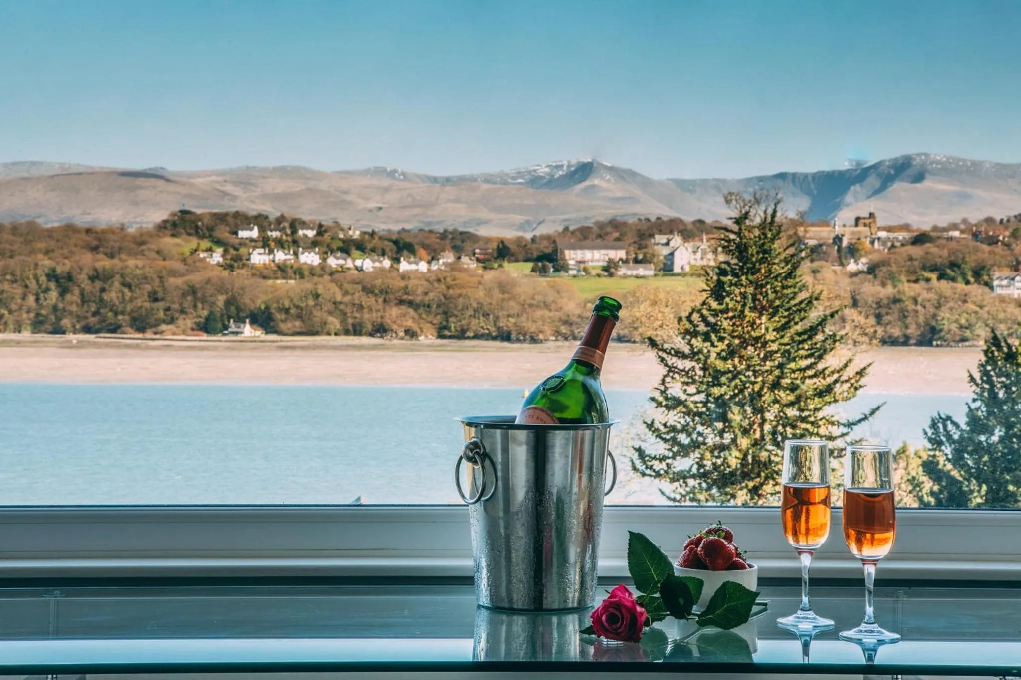 View (from property/room) in Château Rhianfa