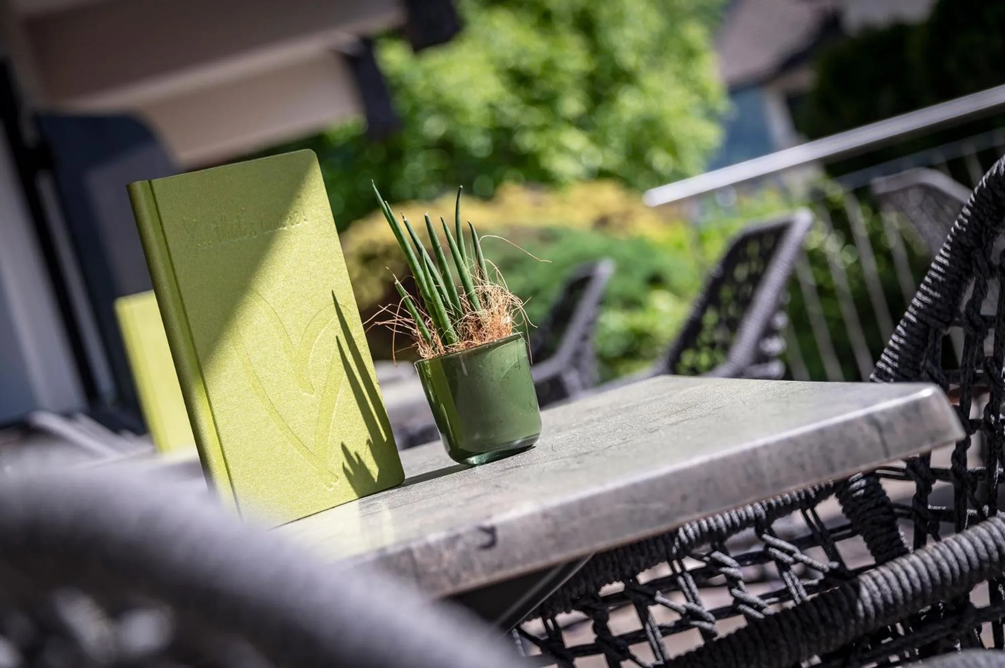 Patio in Vitaurina Royal Hotel